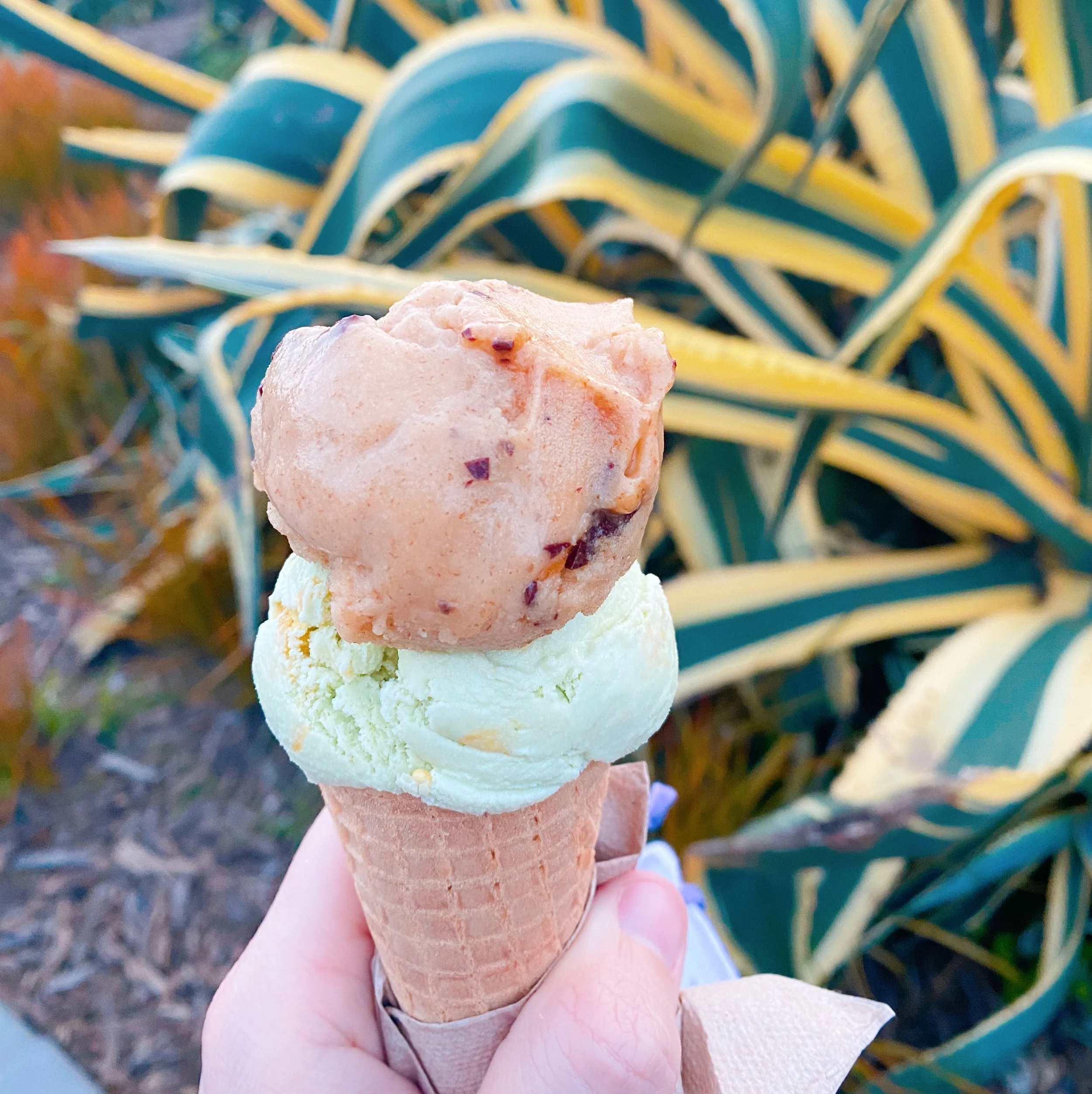 Bi-Rite Creamery