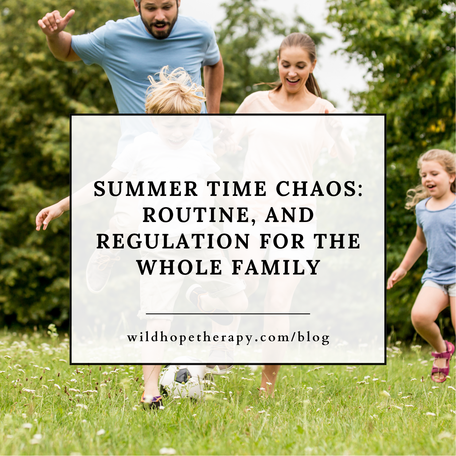 Summer Time Chaos: Routine, and Regulation for the Whole Family