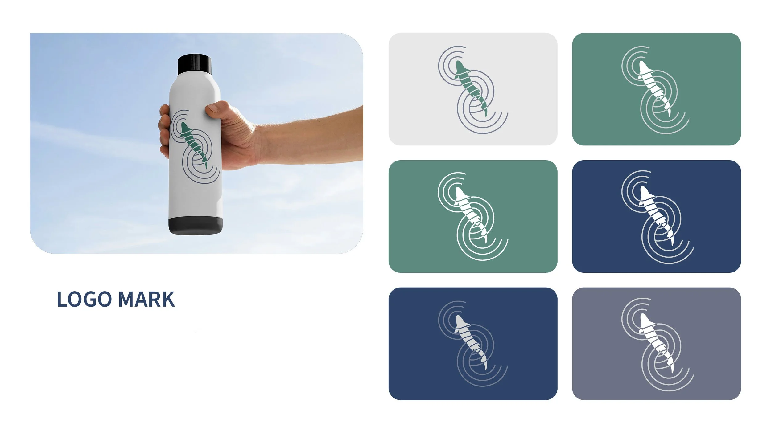Steelhead Collective Brand Mark