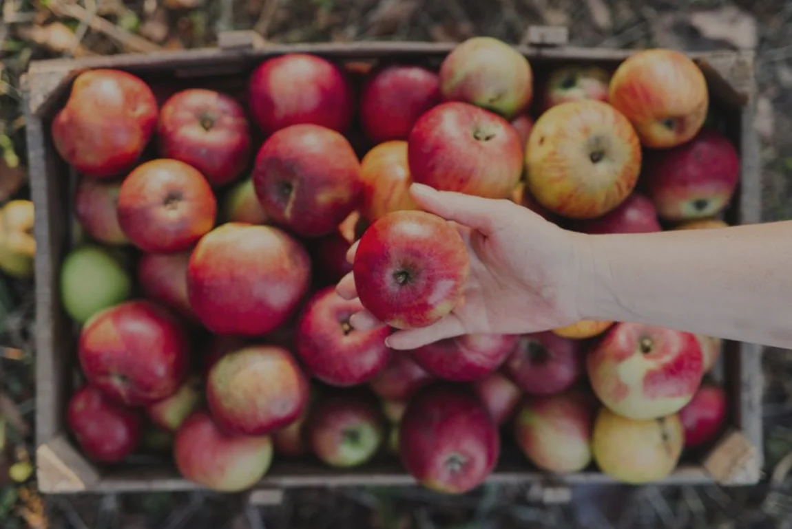 Apples_Edited_65.jpg