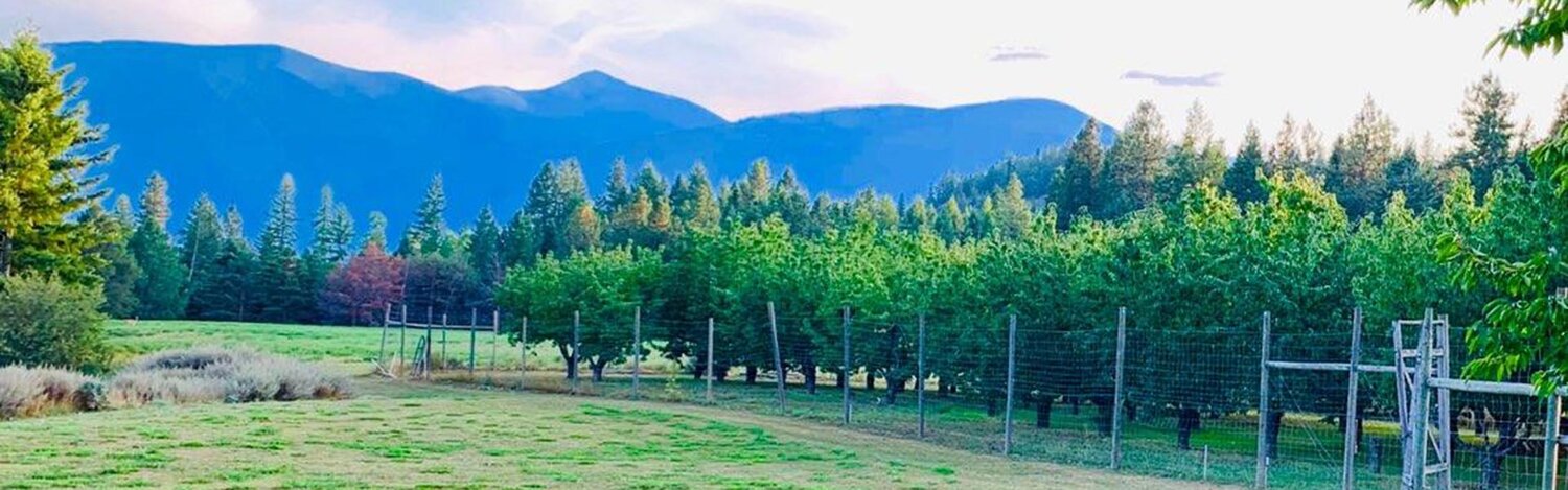 SelkirkMountain-View.jpg