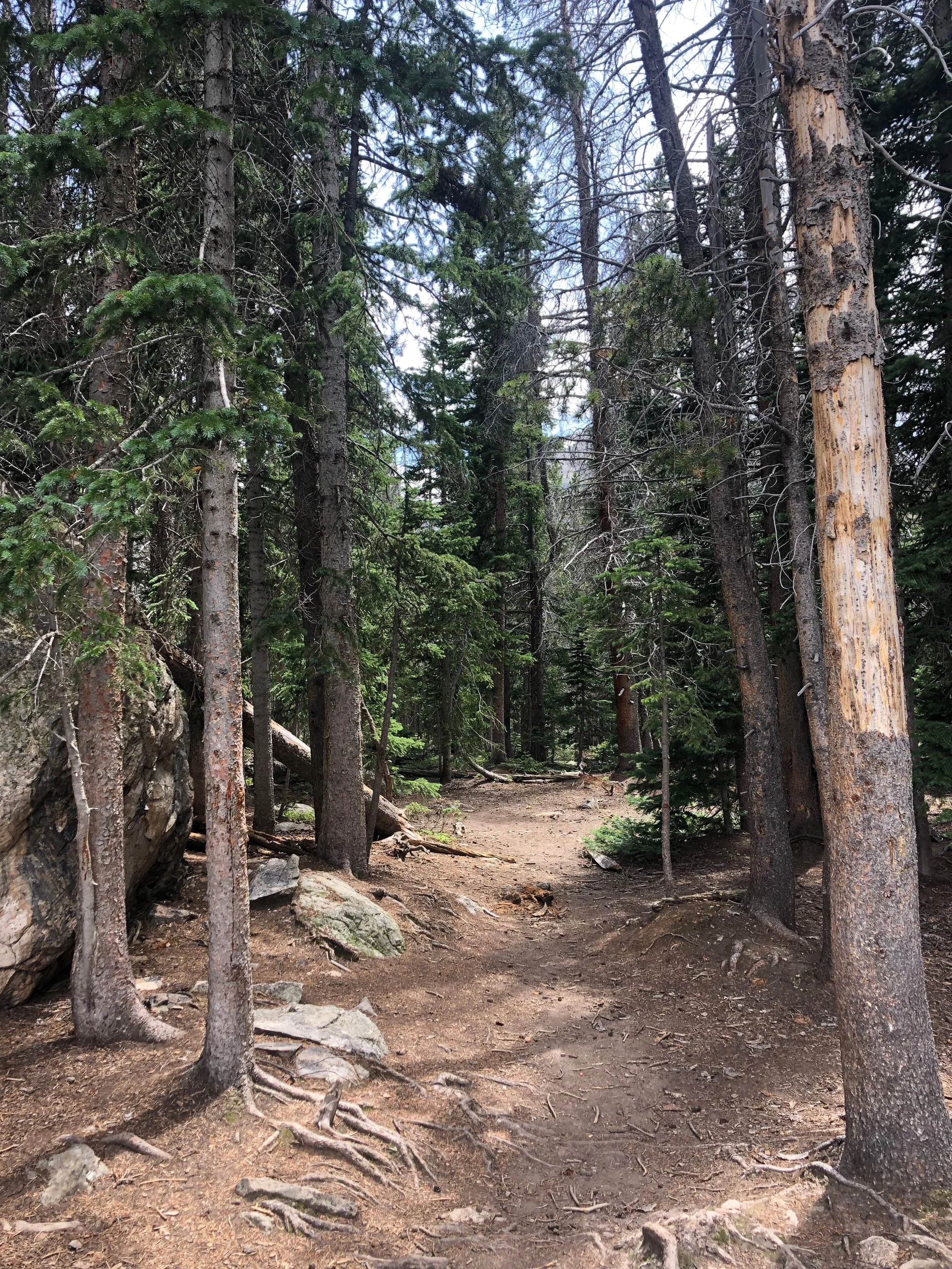 Are Bad Days Really Invitations?