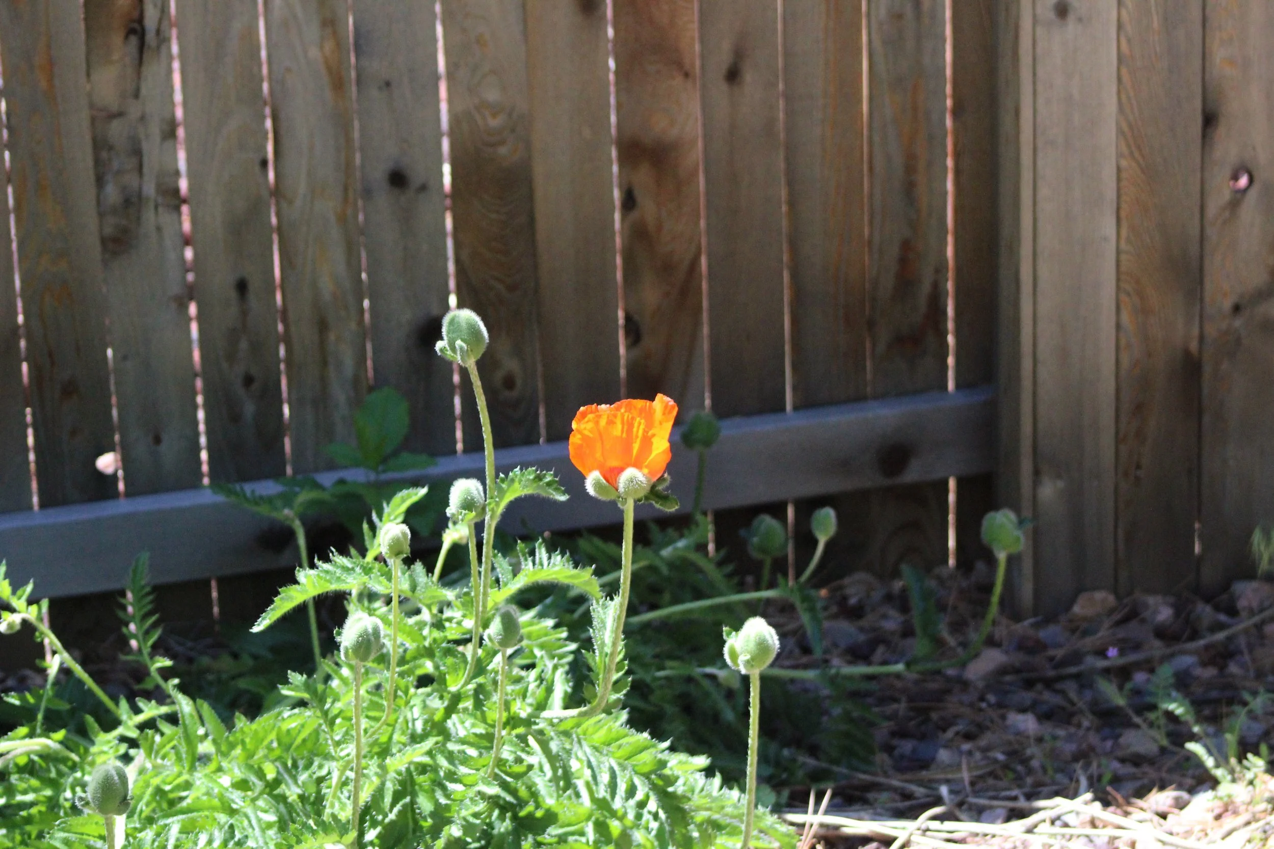 When You Feel Like You're in Prison