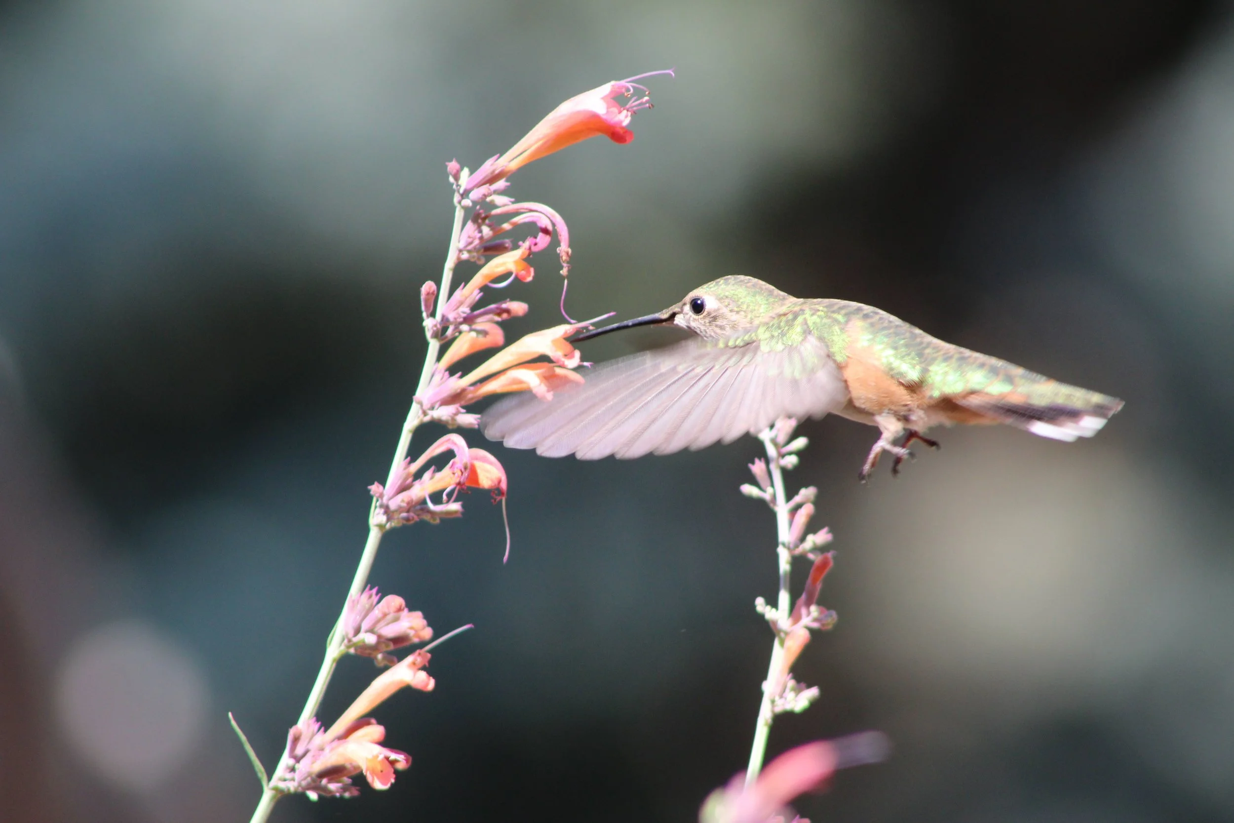 Defining God by Circumstances