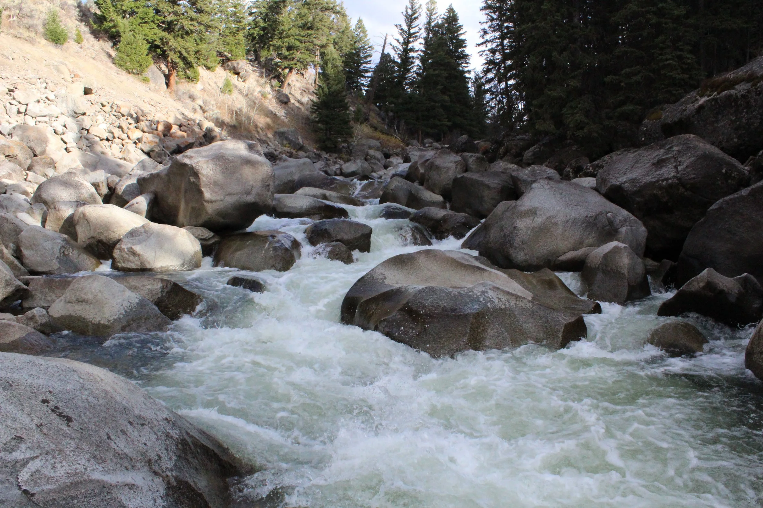 When Someone You Love is Struggling