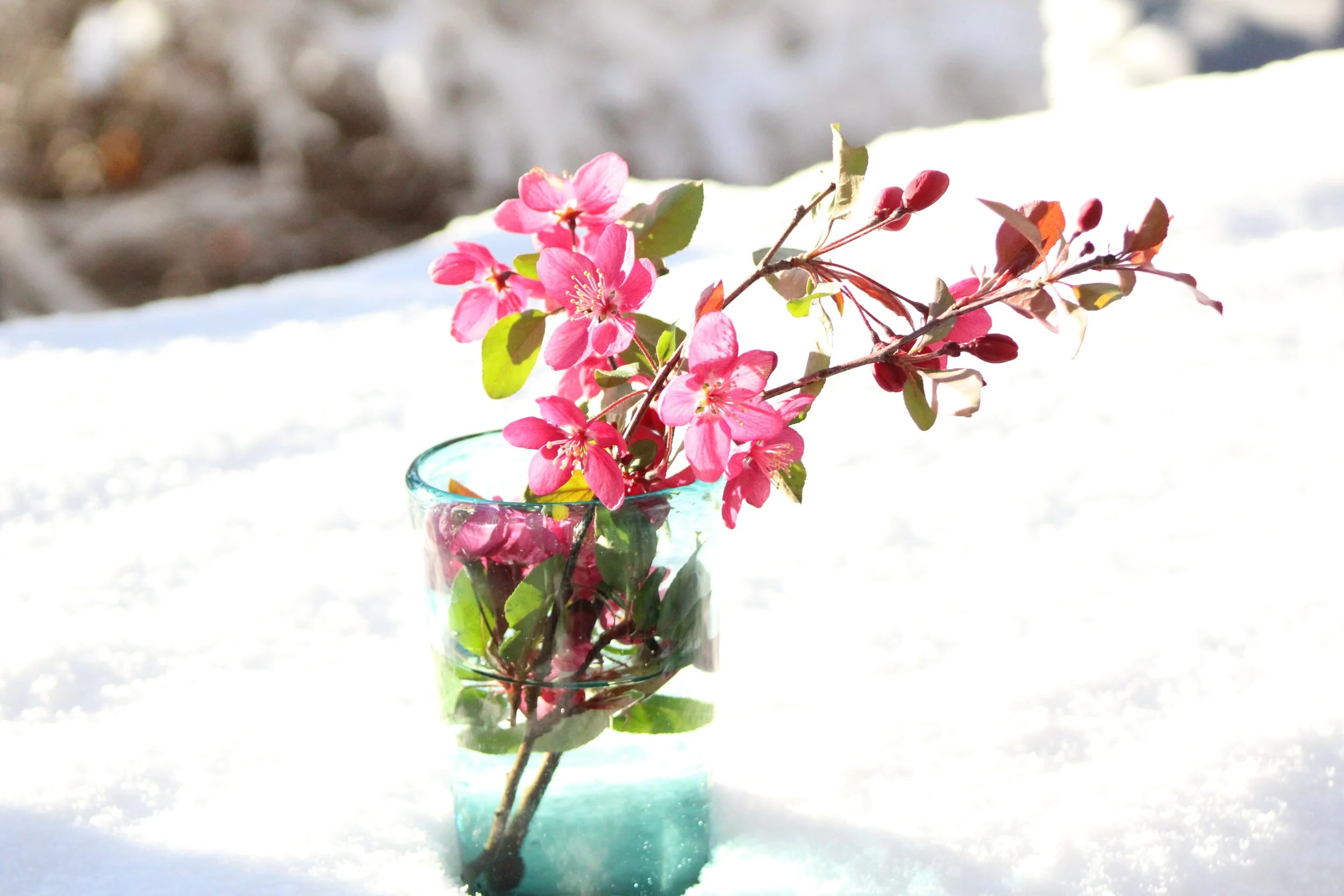 When Christmas Hurts