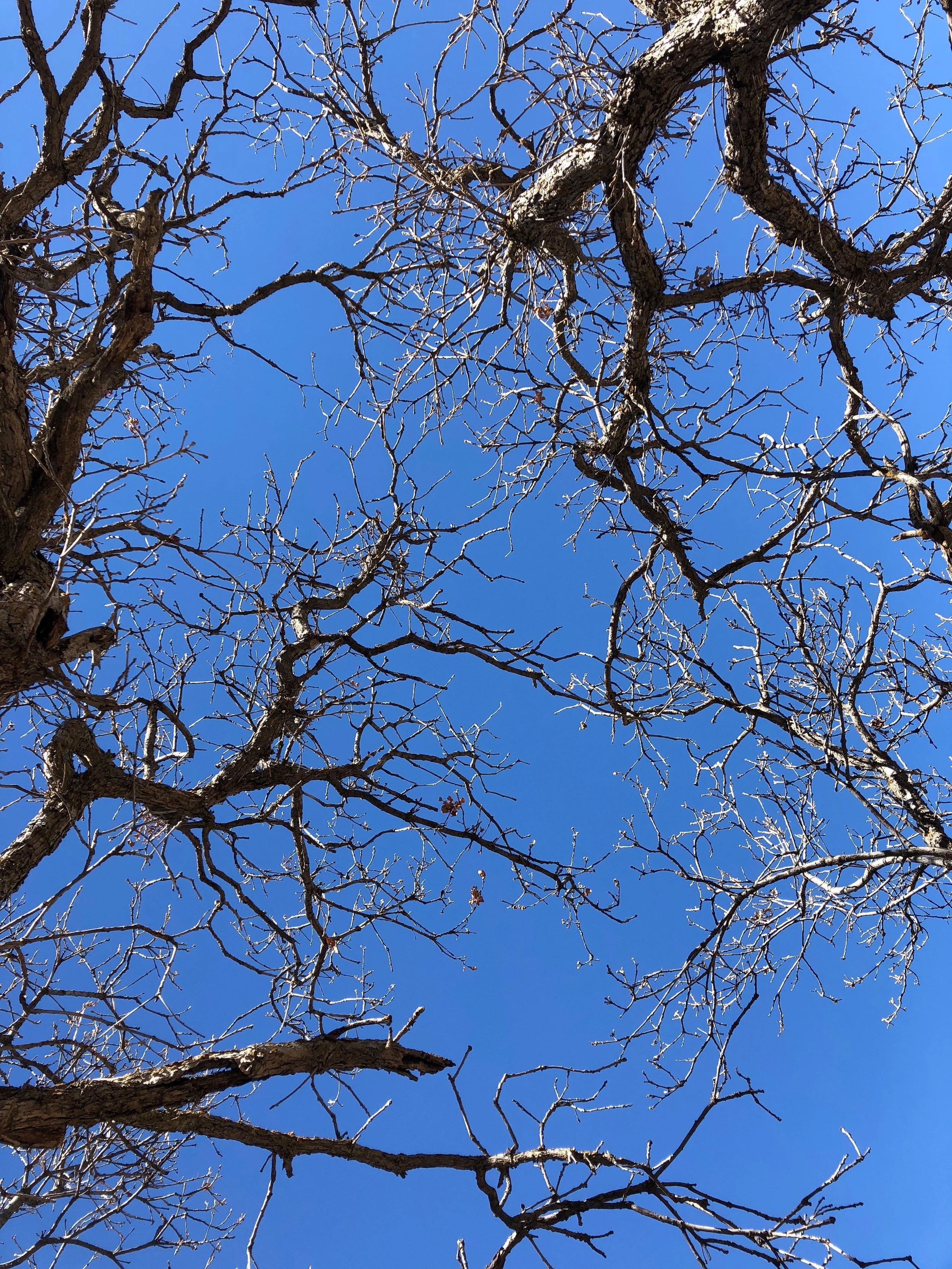 Choosing to Remember the Truth That Sets Us Free