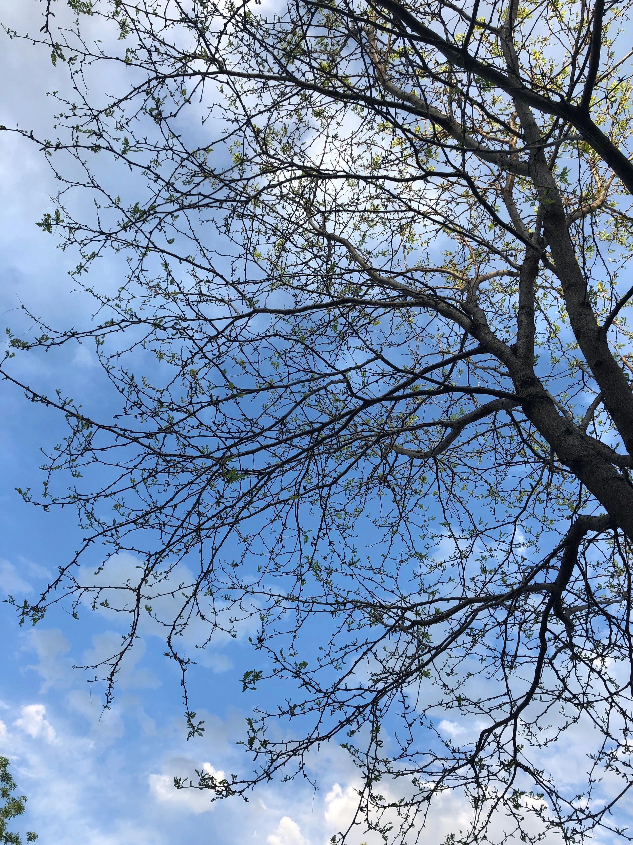 Recognizing God in the Struggles of Life