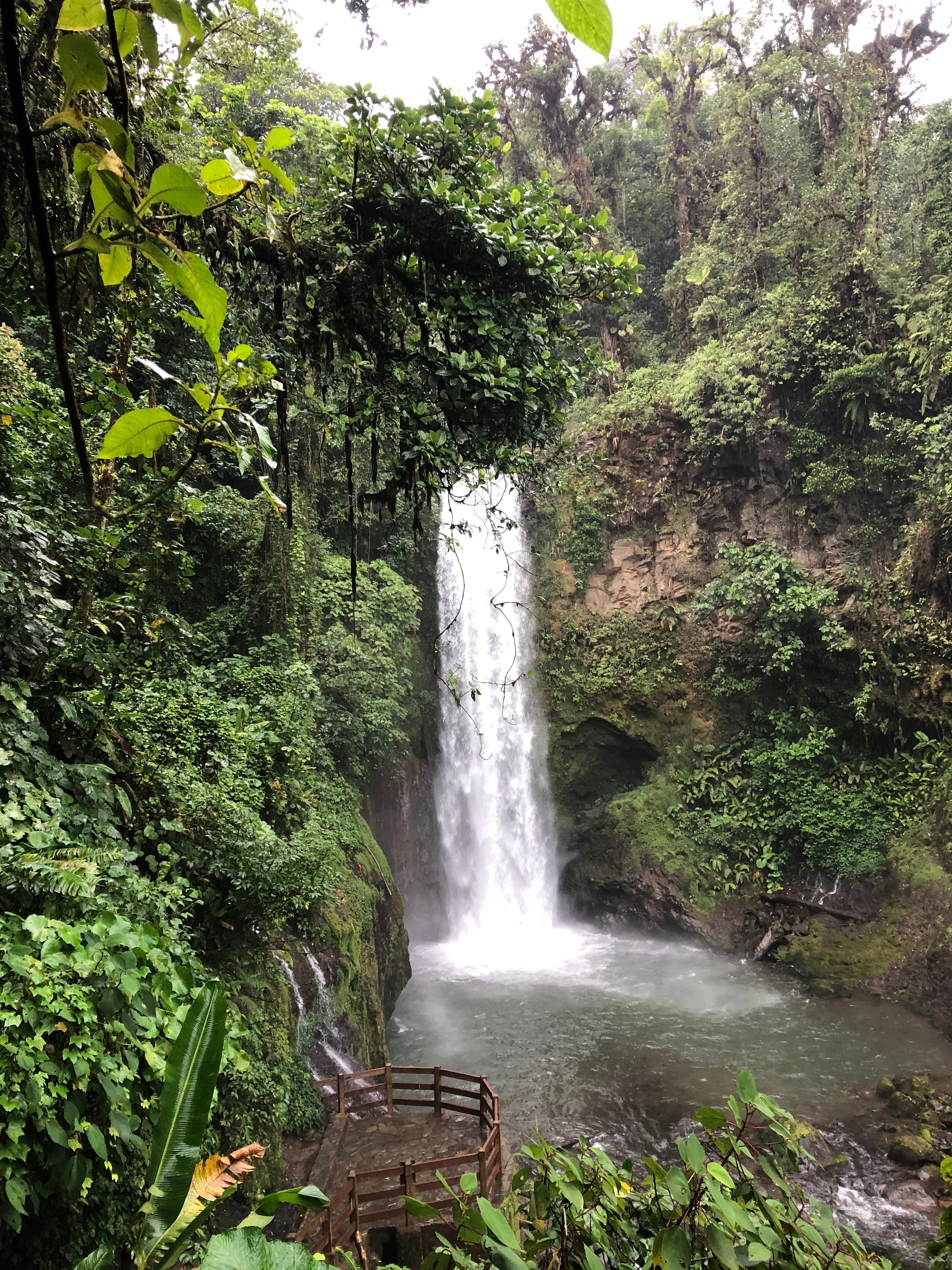 The Condemnation and Freedom of the Love Passage:  A Different Perspective on 1 Corinthians 13