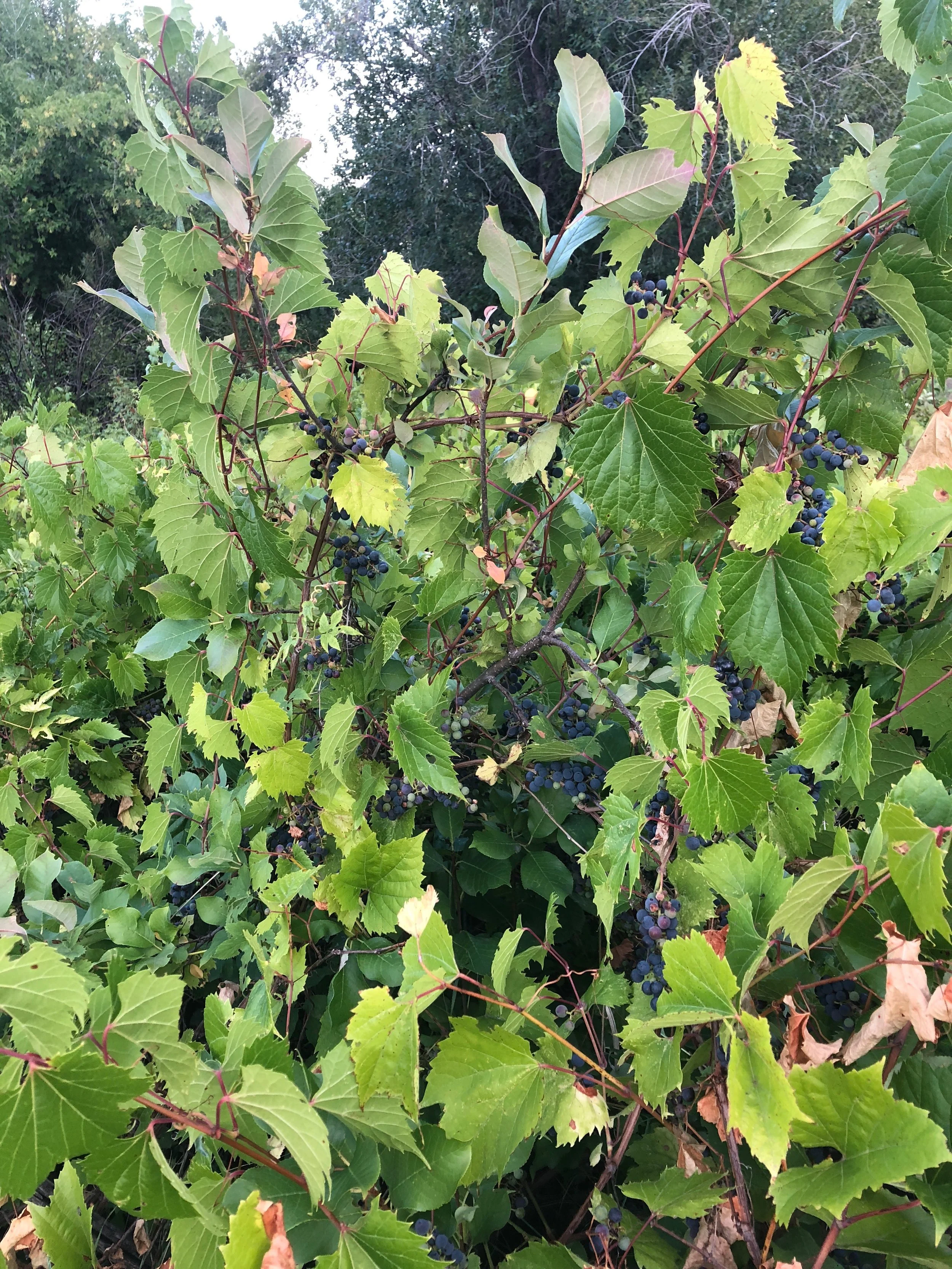 The Pressure of Doing Everyday Life