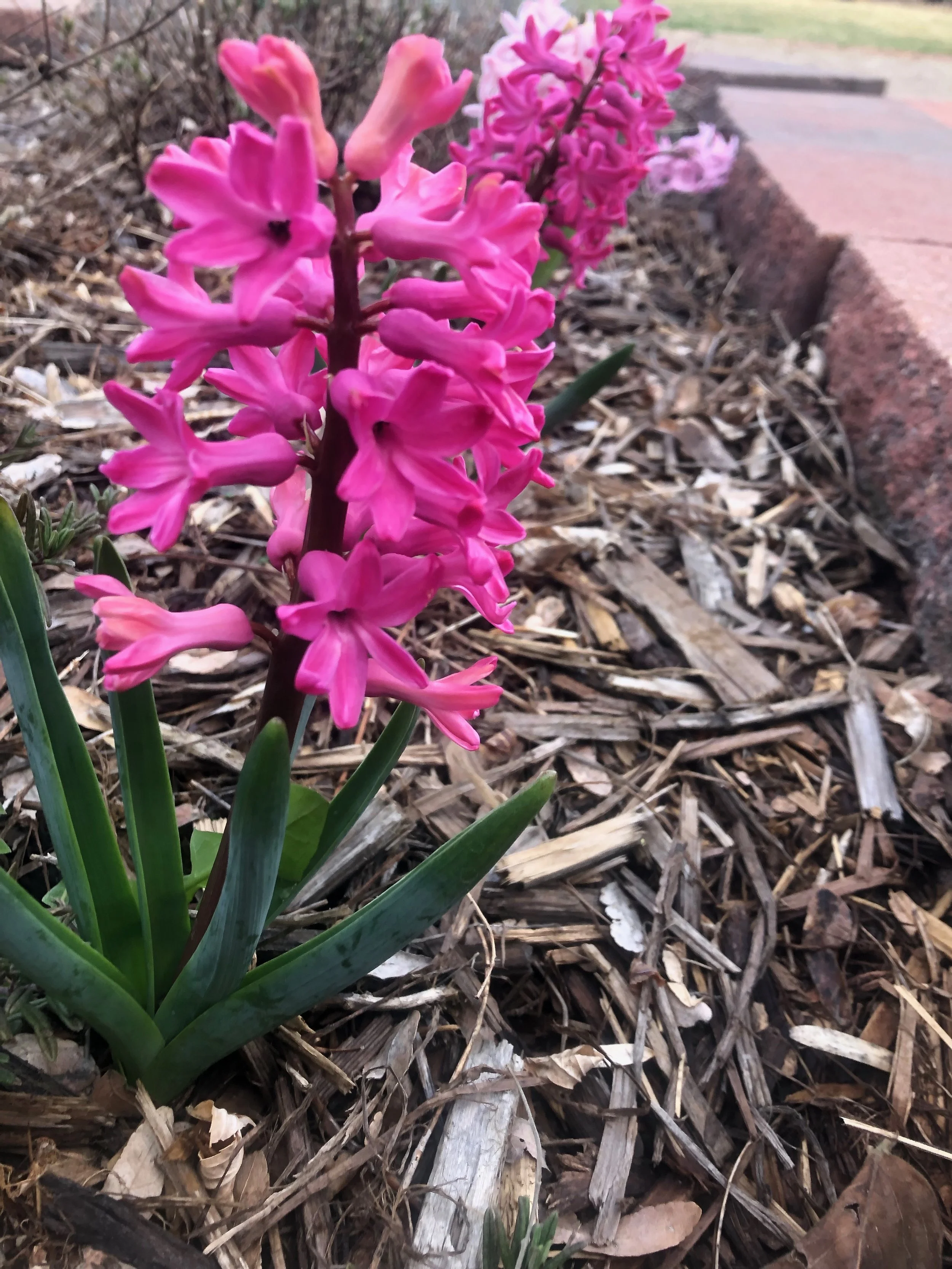 The Blood of Jesus & Confidence for Today