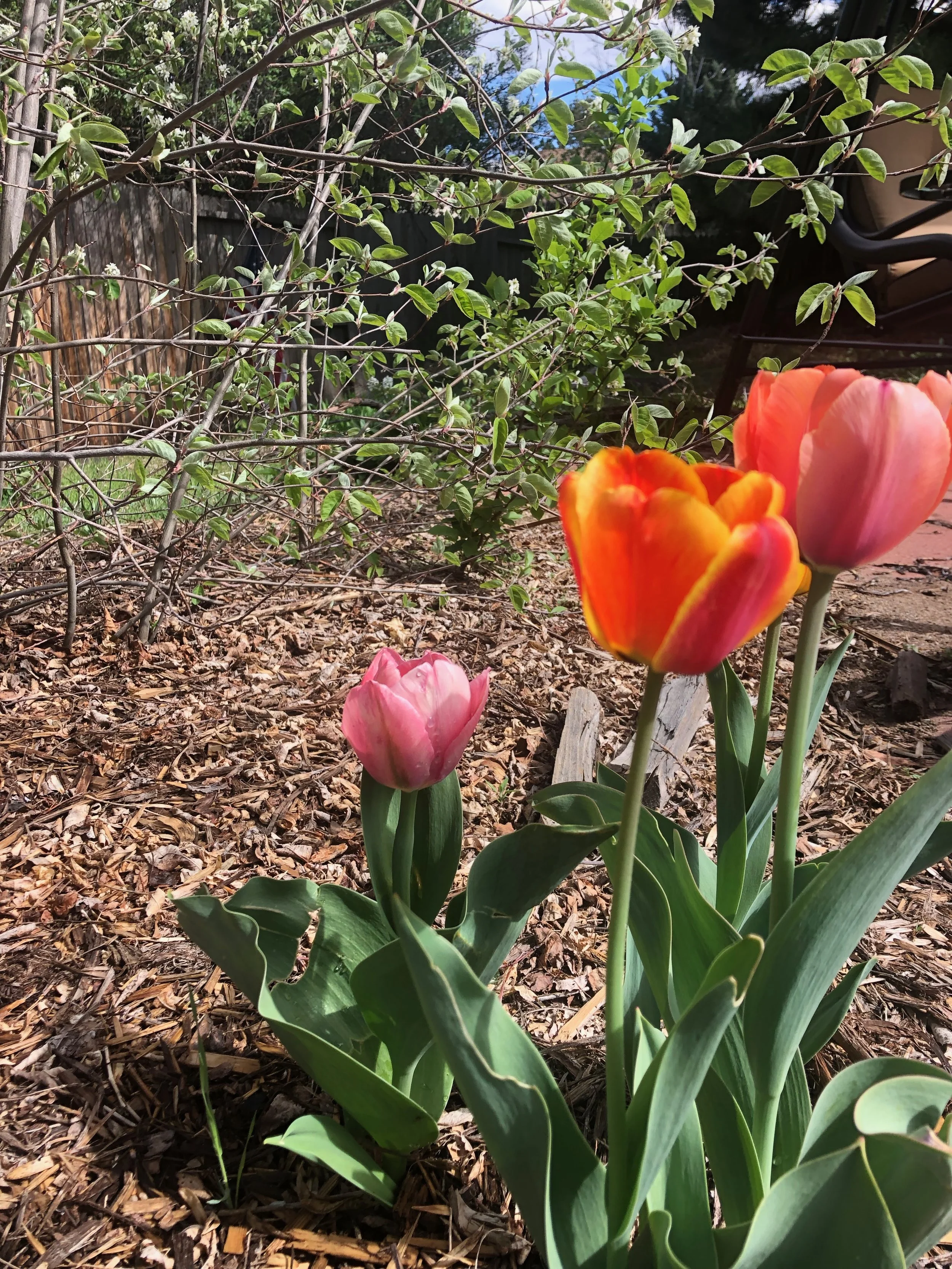 Religious Performance vs. Life in Christ