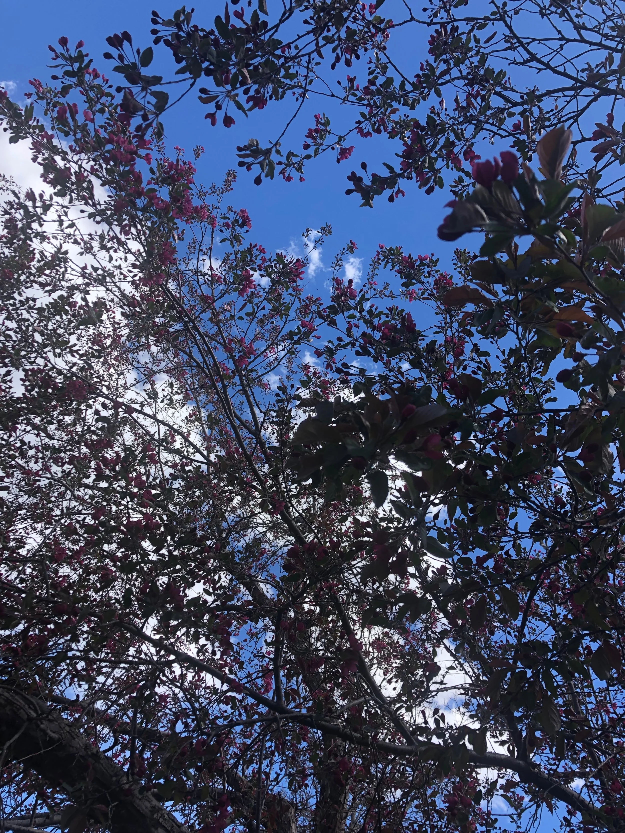 Letting Go of Perfection in Favor of Love