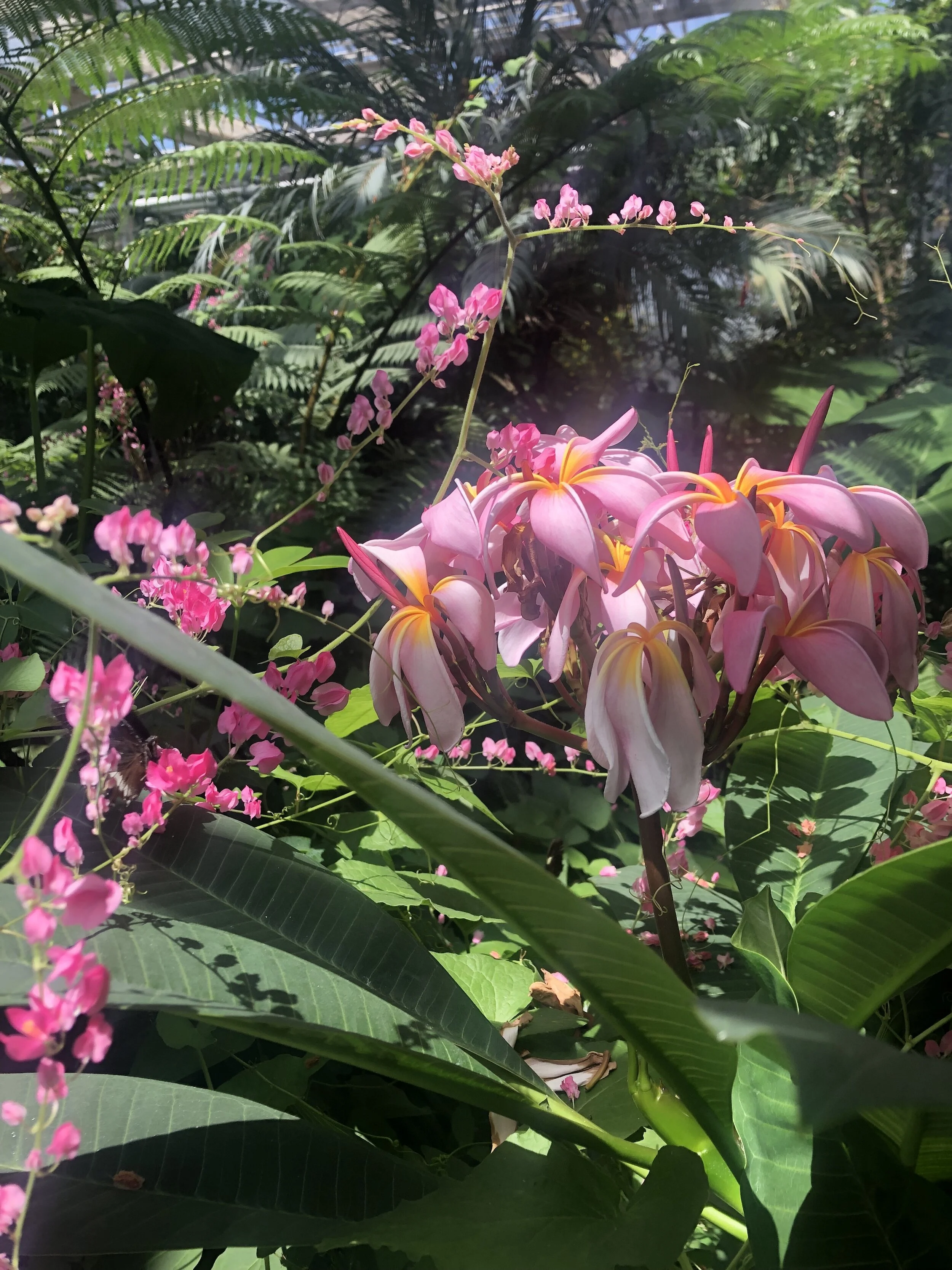 What is Abiding Life?