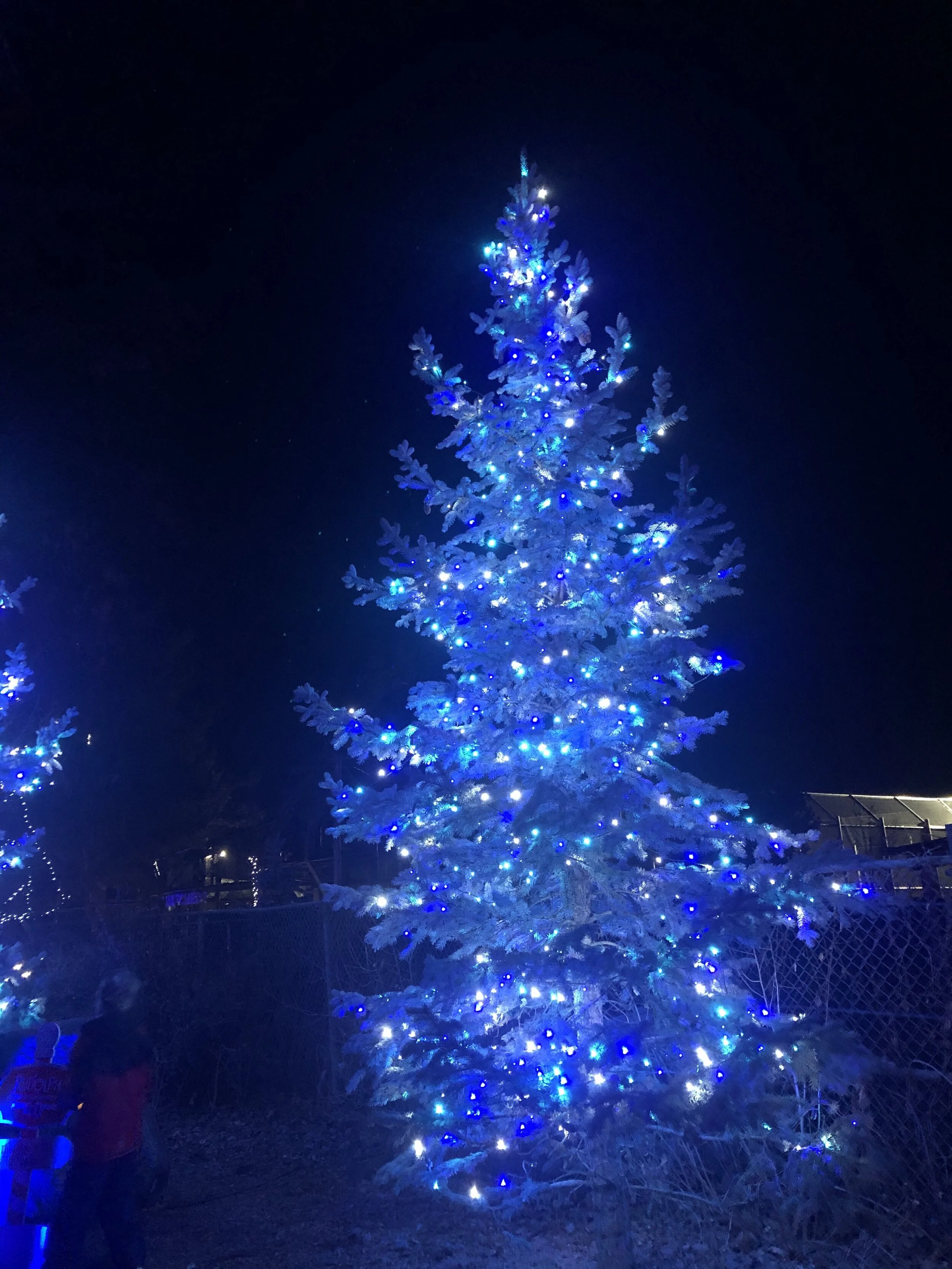 Finding Hope at Christmas