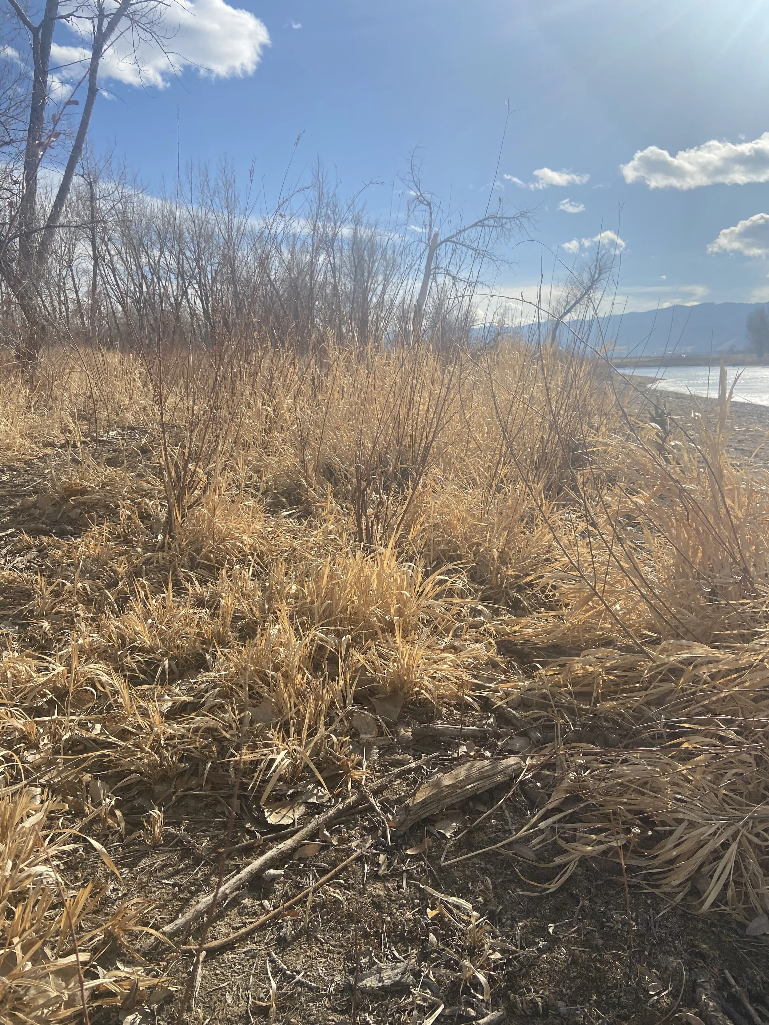 The Distraction of What We Don't Have