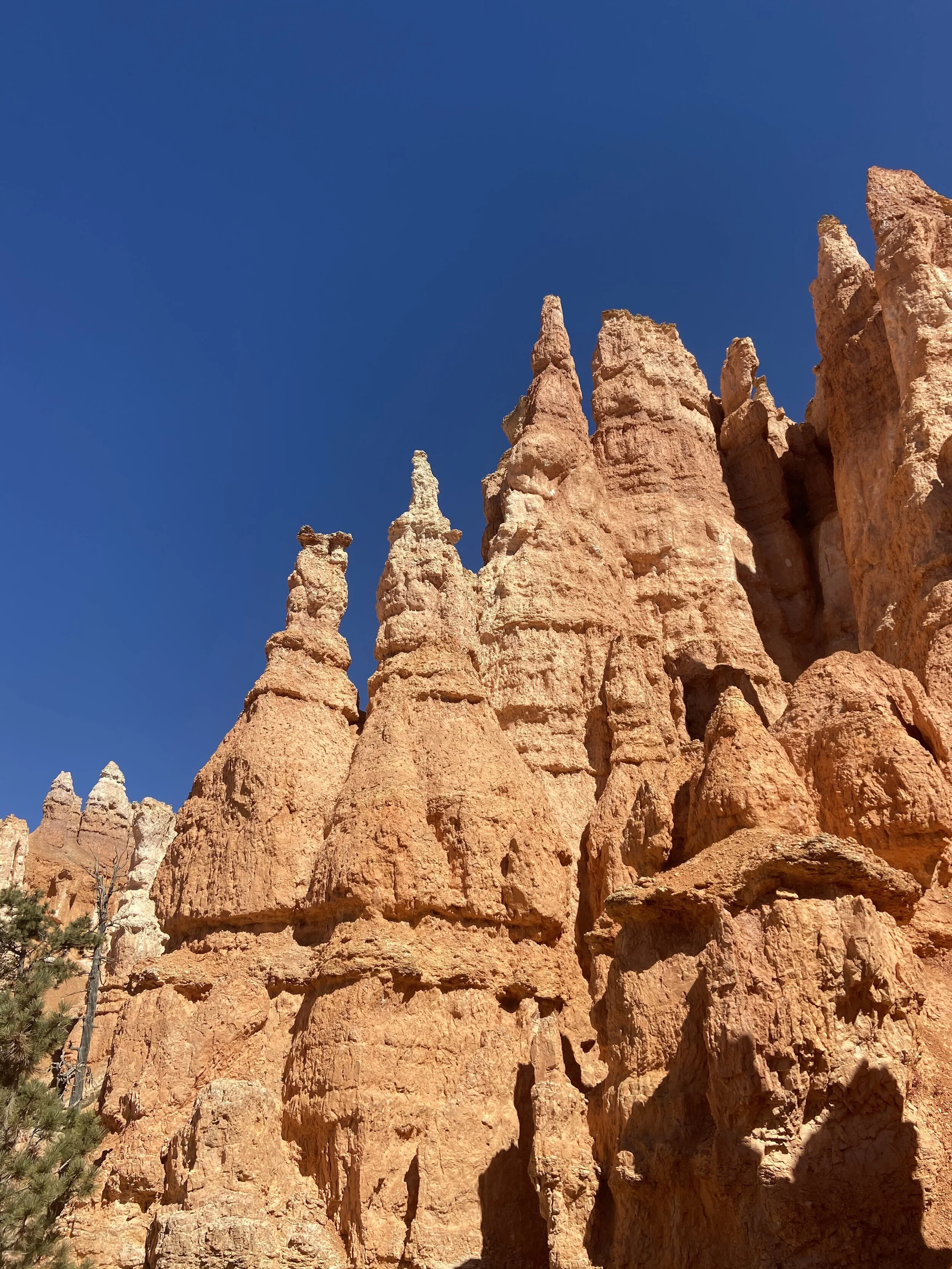 When You Are Limping Instead of Running