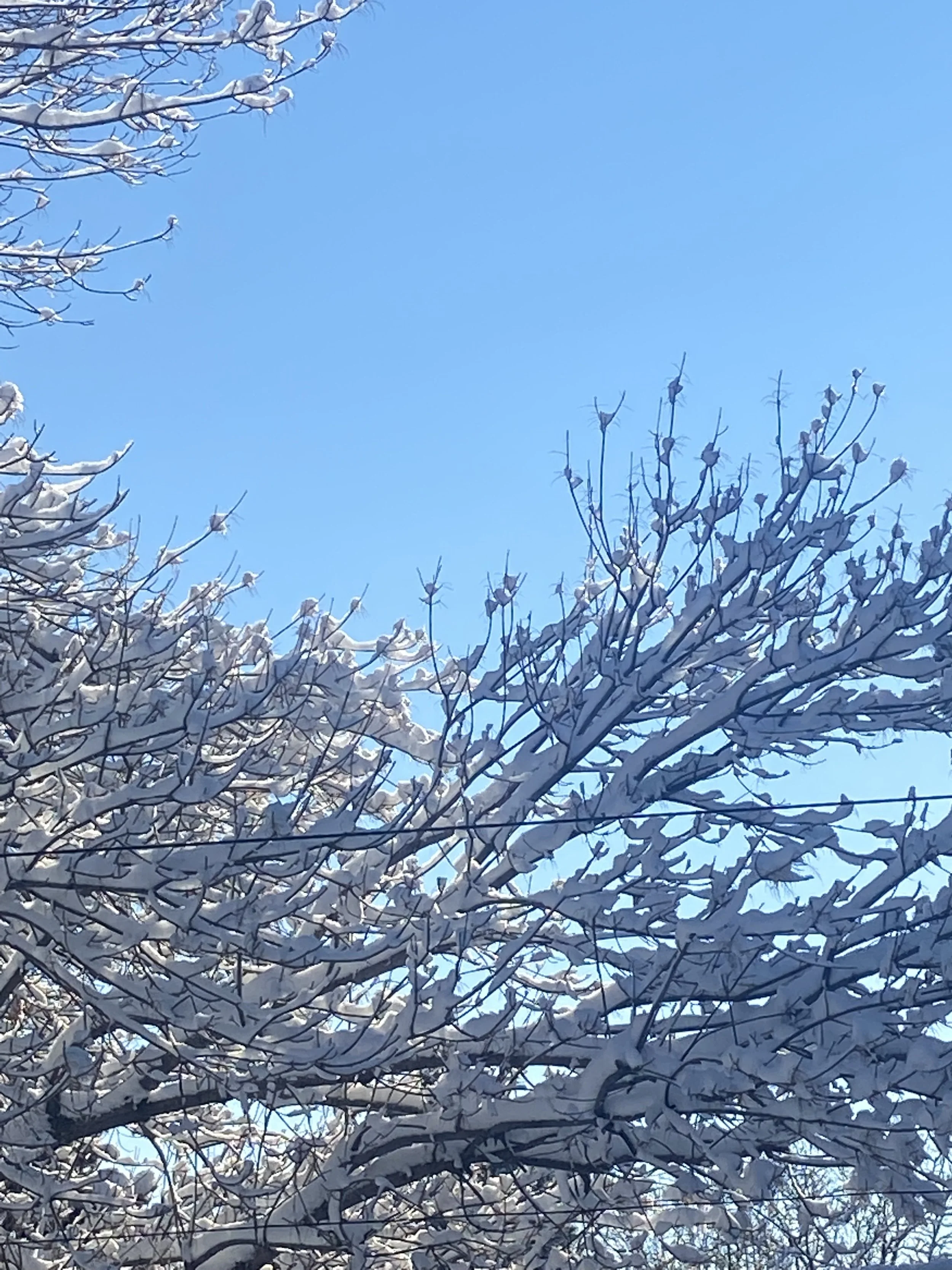 When God Doesn't Change It