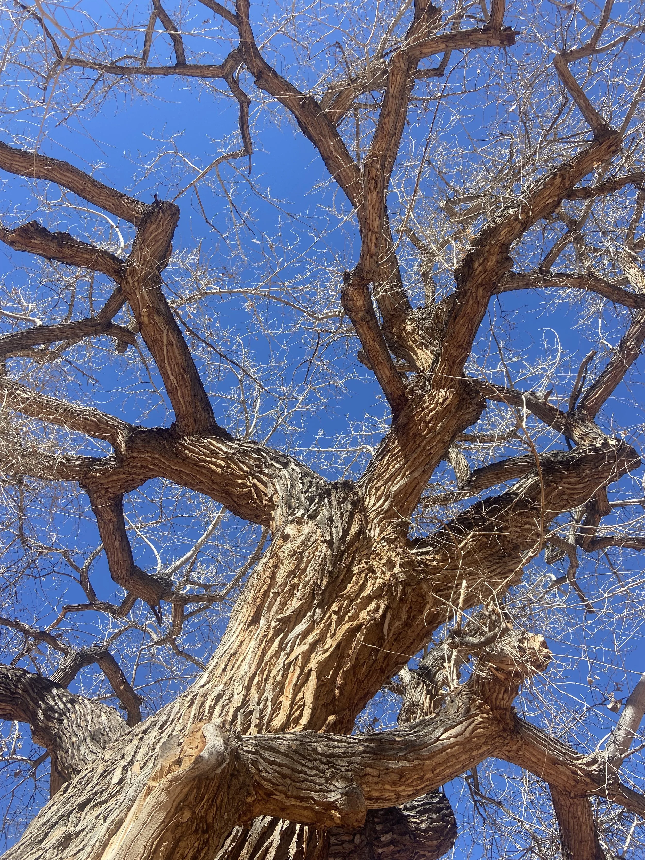 Suffering With Those Who Suffer