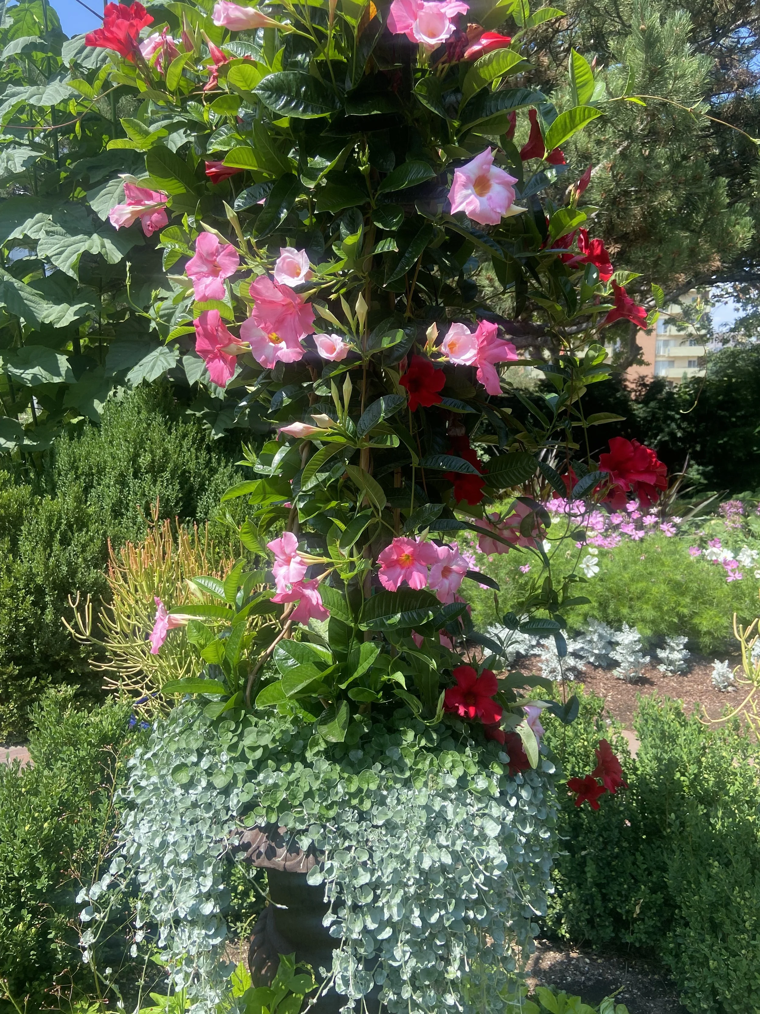 The Poison of Religion