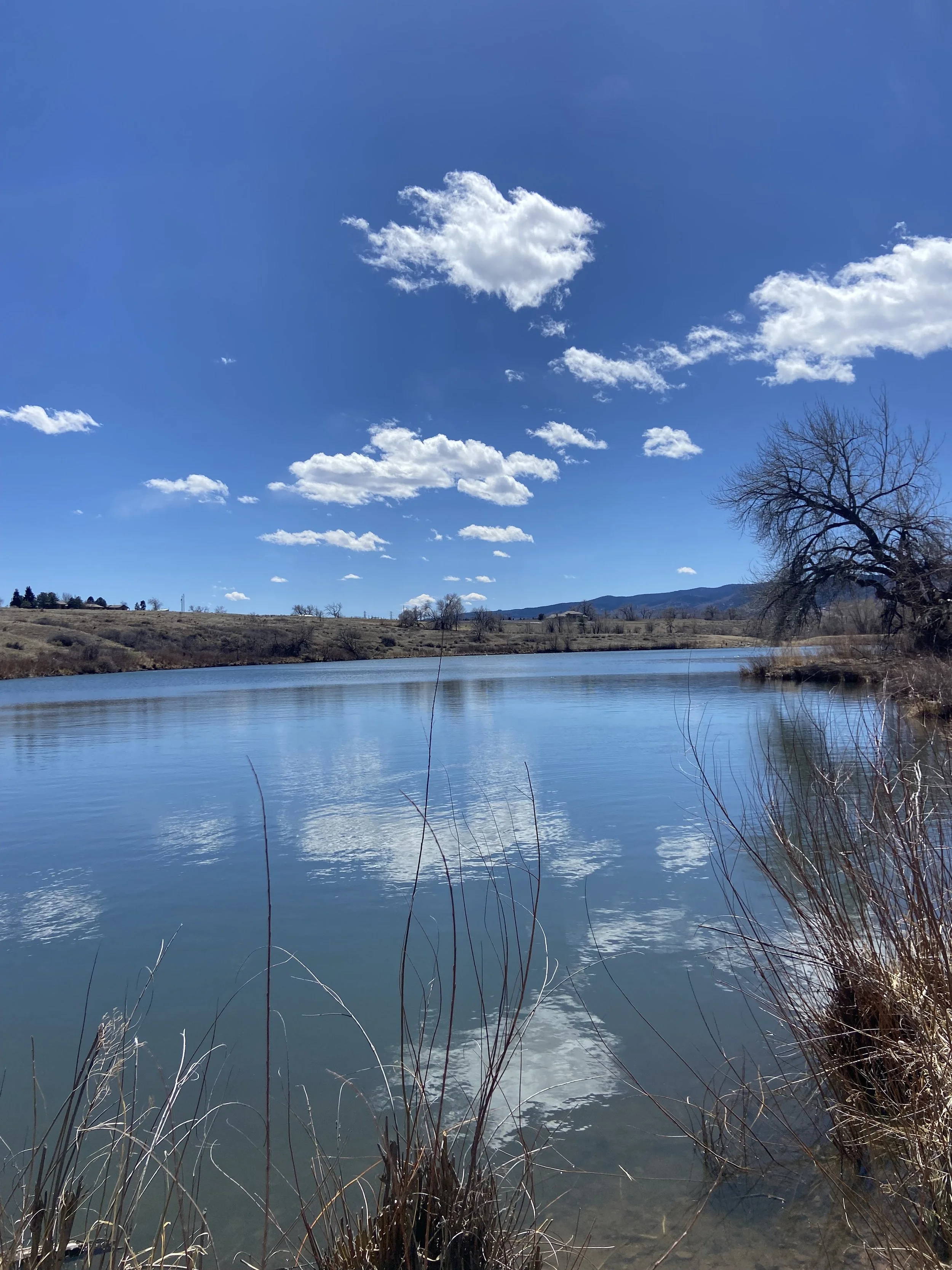 Joy, Prayer and Thanksgiving When You Don't Feel Like Any of It