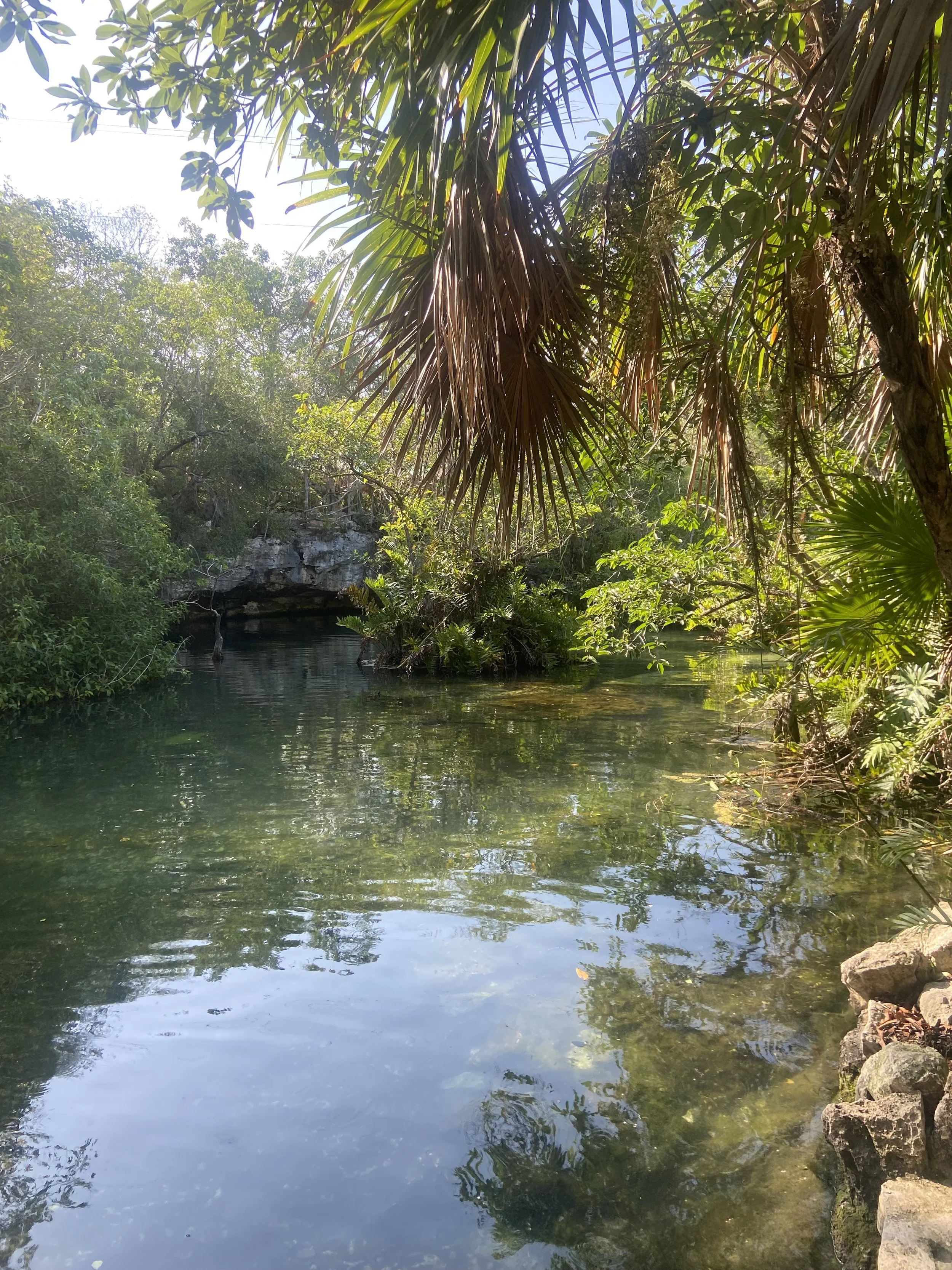 Owning Others' Emotions