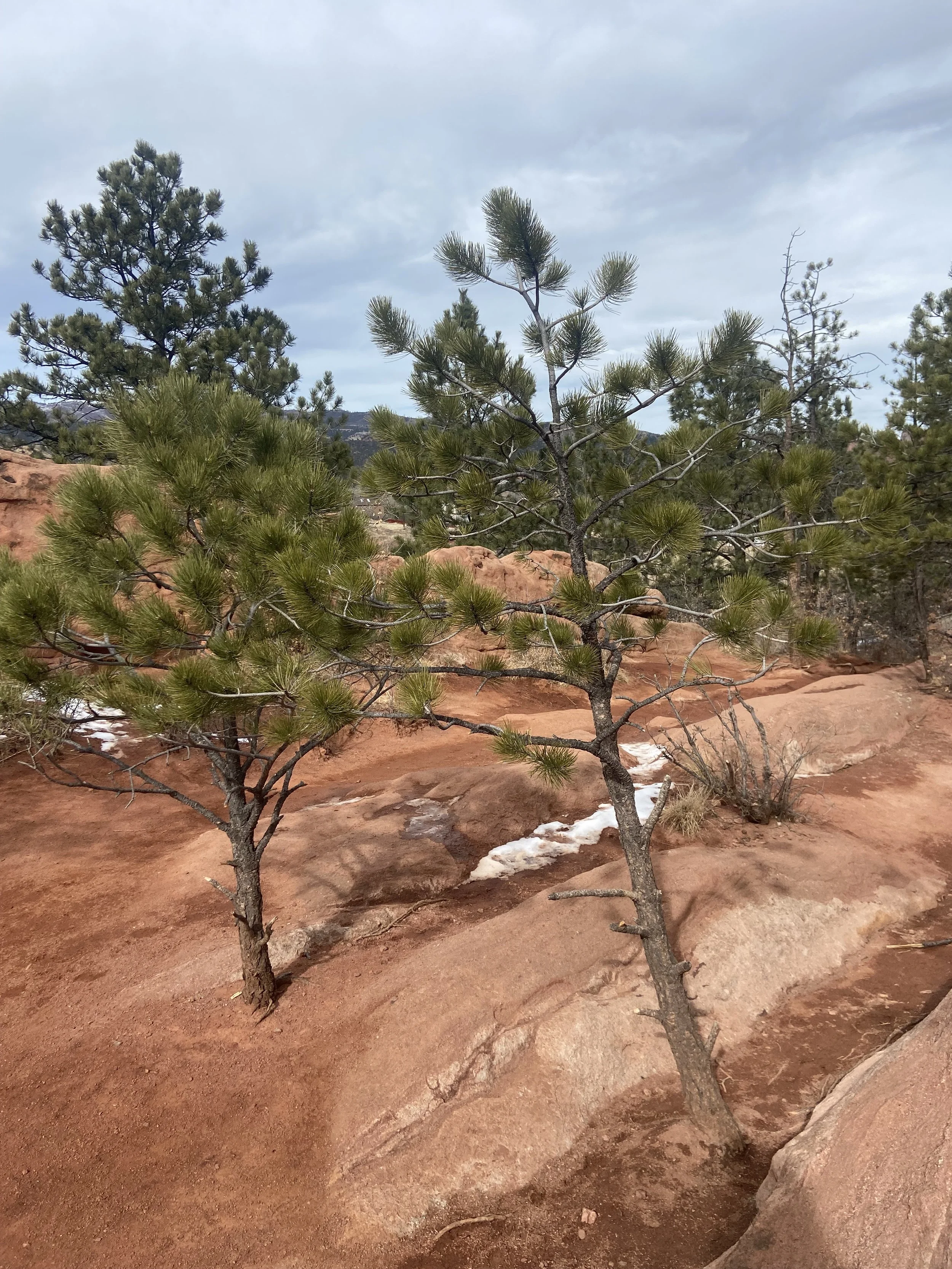 An Invitation to Relationship