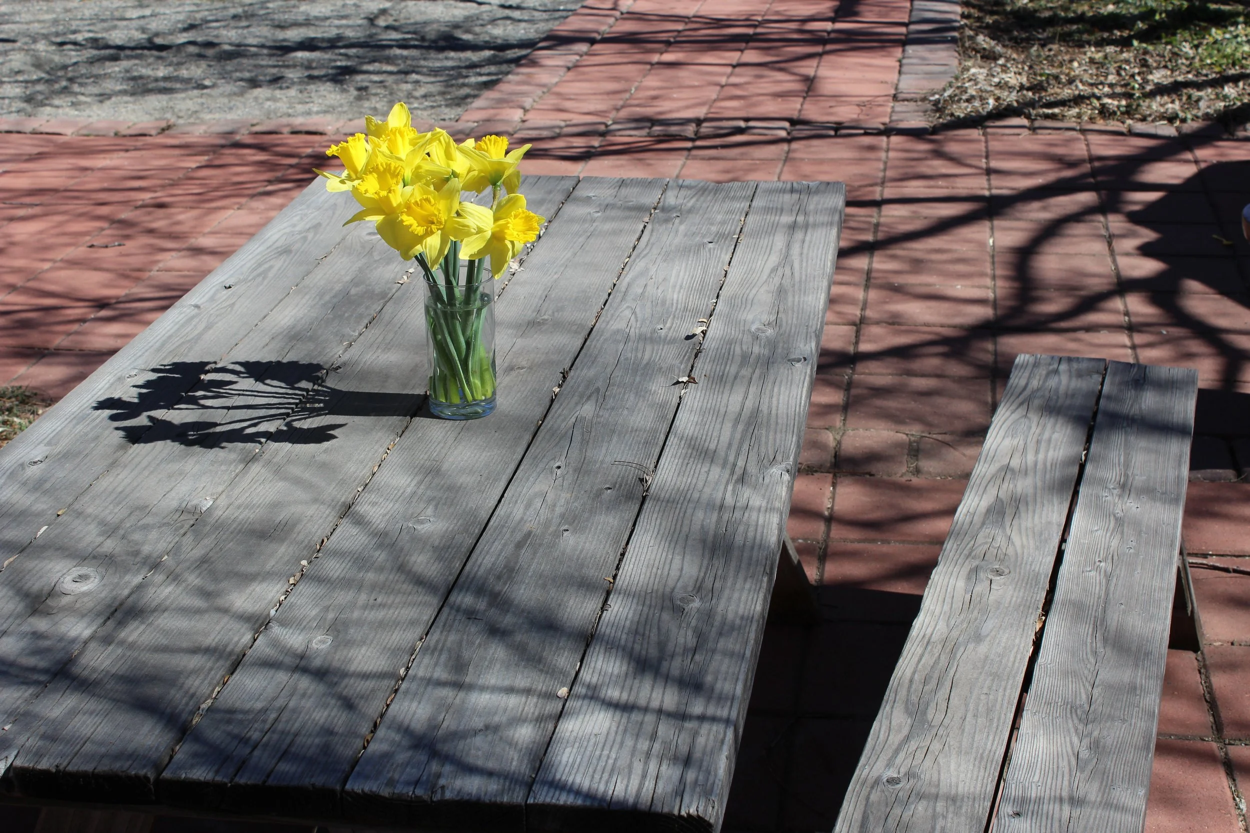 Rediscovering Joy Through God's Loving Gaze, by an Anonymous Counselee