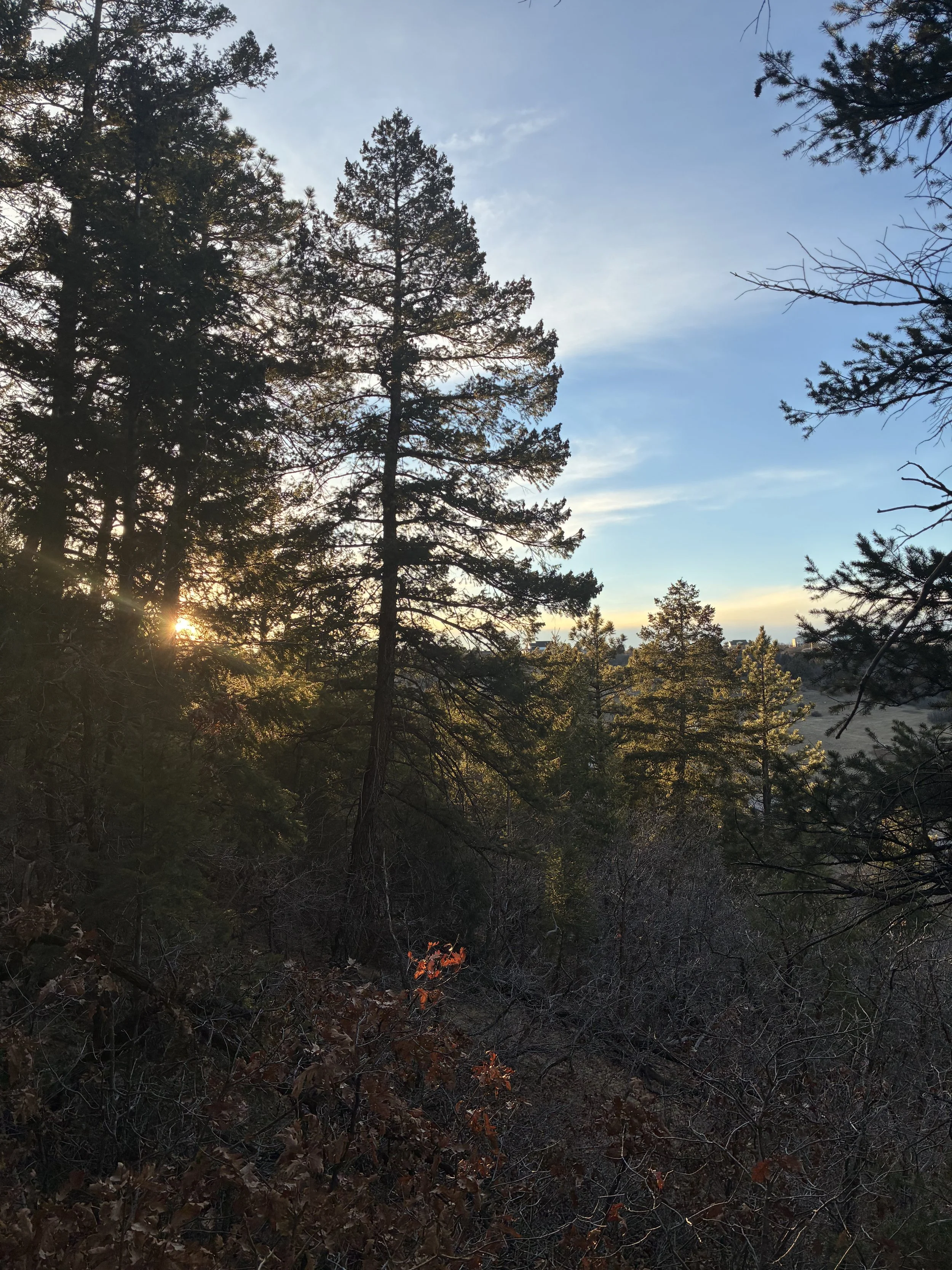 Squeezing Out All the Juice