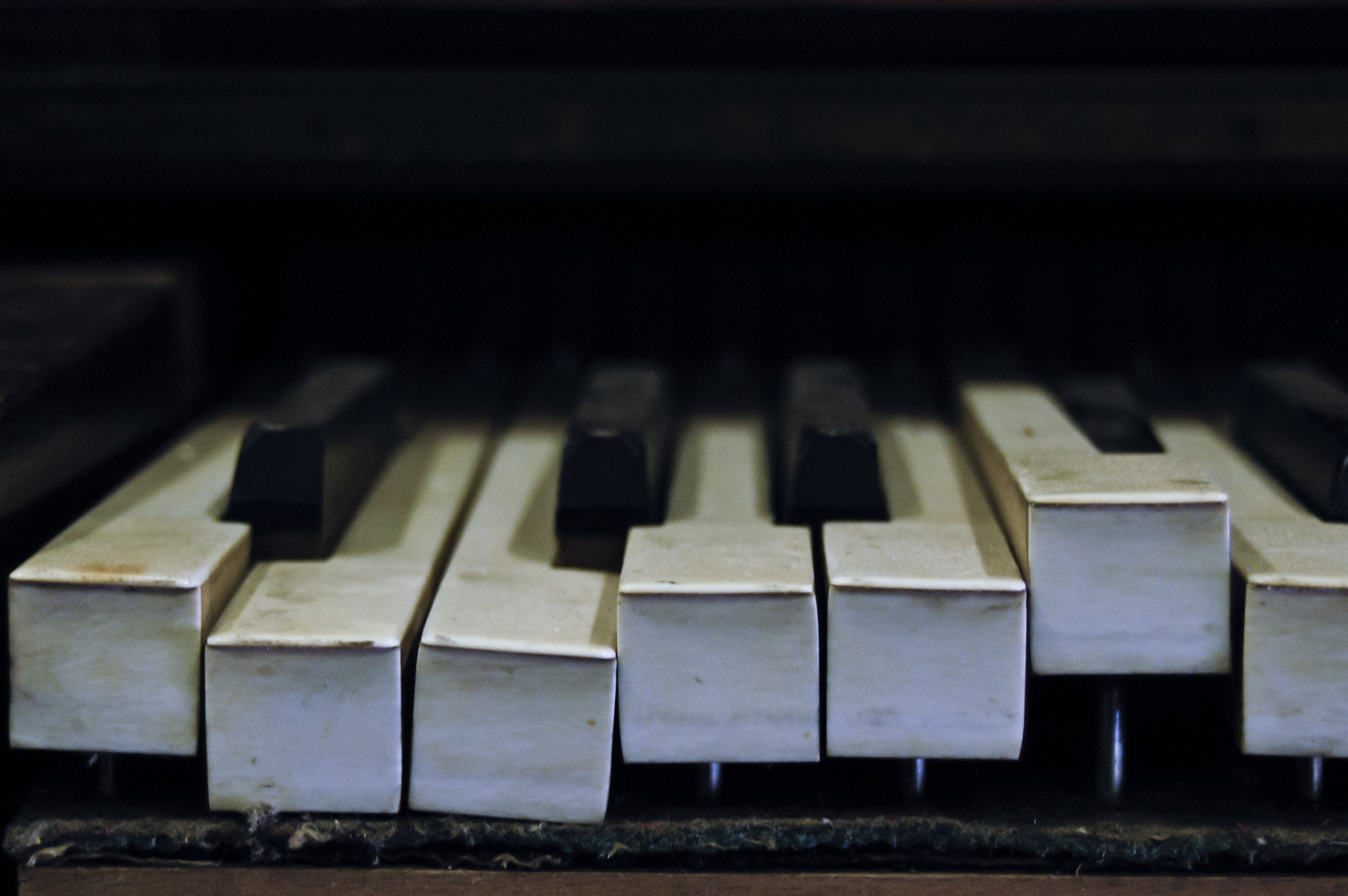 Piano in the Park