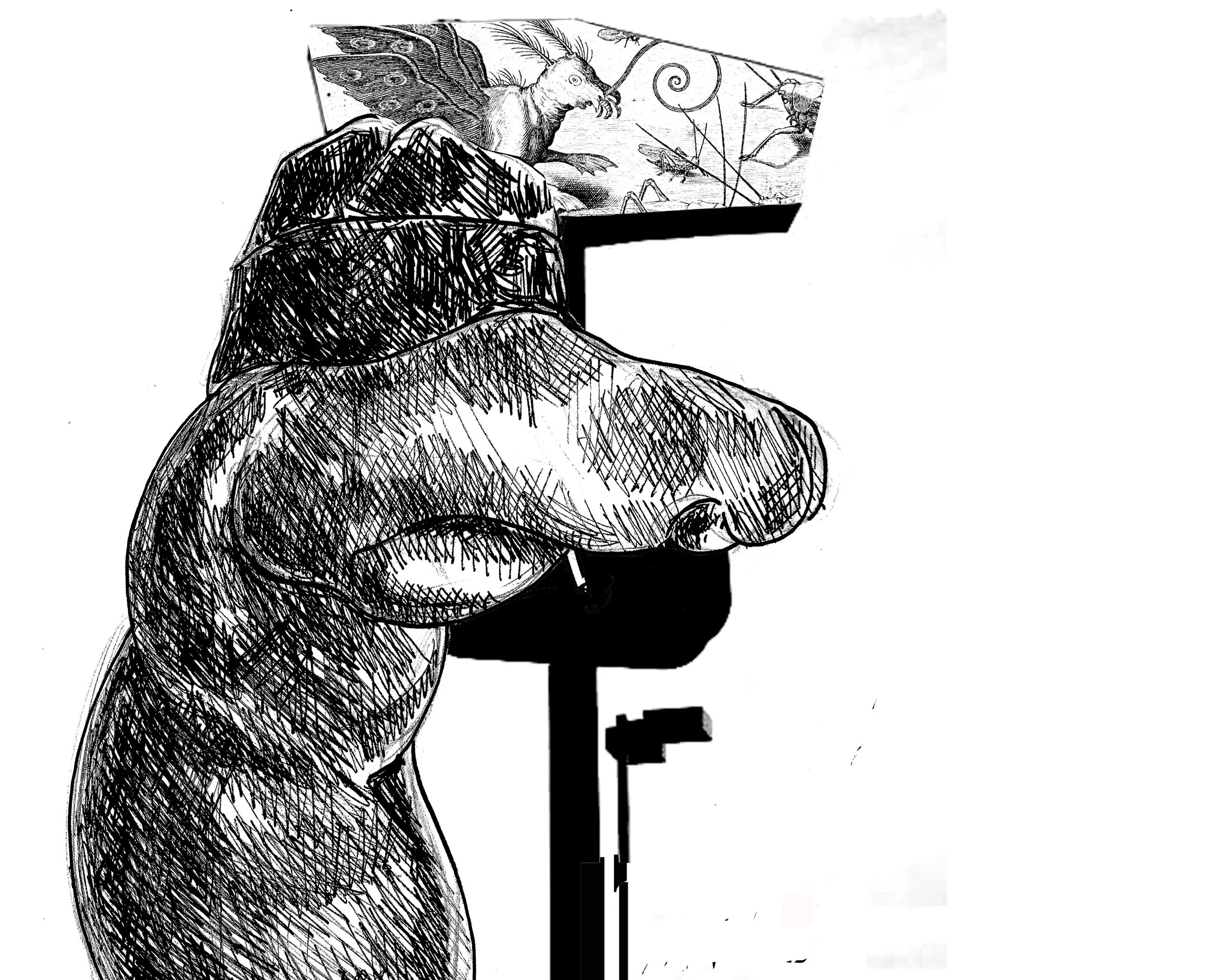 Library Science + Celebrity Cheeses