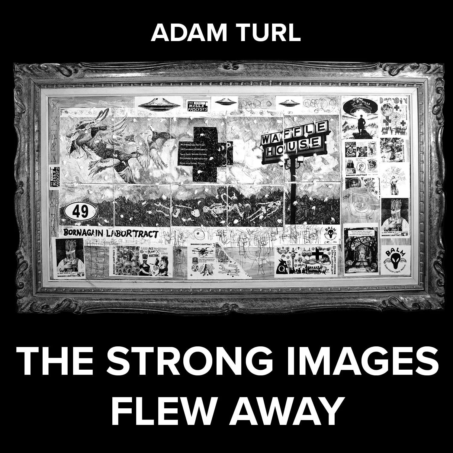 The Strong Images Flew Away