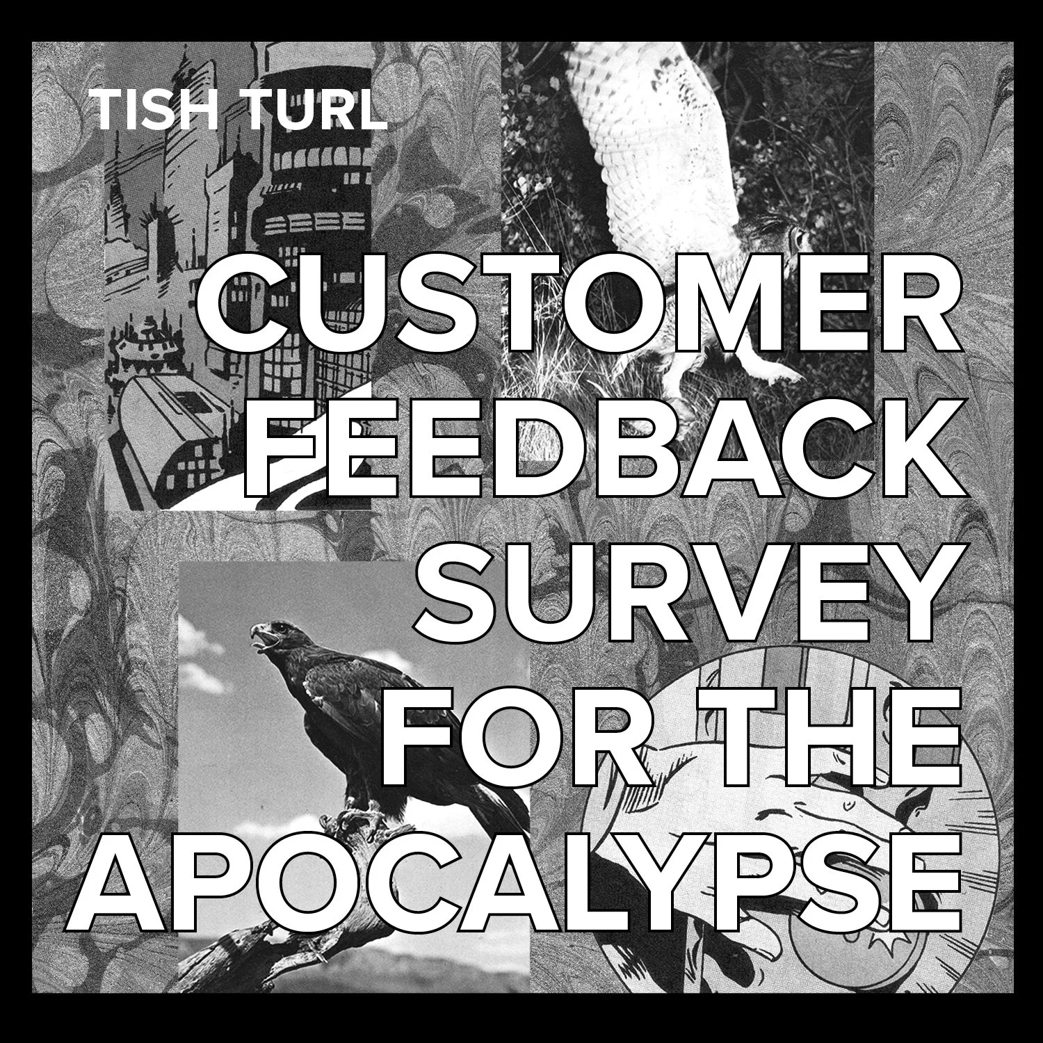 Customer Feedback Survey for the Apocalypse