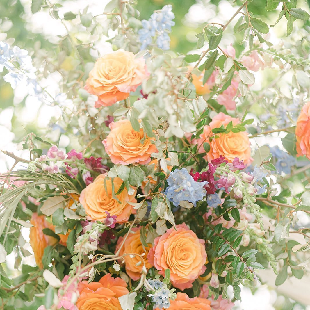 Corner arbor lookin so fine
📸 @dianamariephotography_ 
#gardenwedding #ihavethisthingwithcolor #weddingflowers #weddingarbor