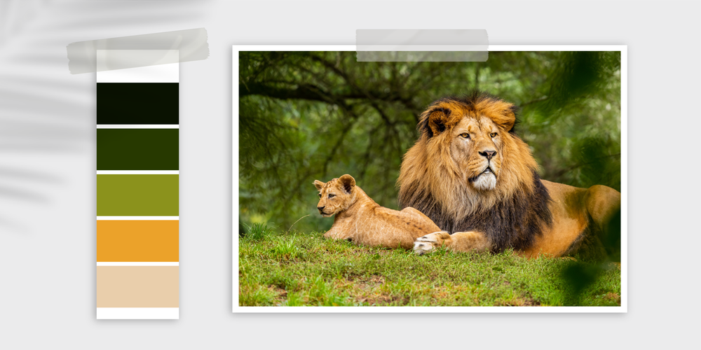 Quick Color Palette Creation—Plus 12 Examples to Get You Inspired ...