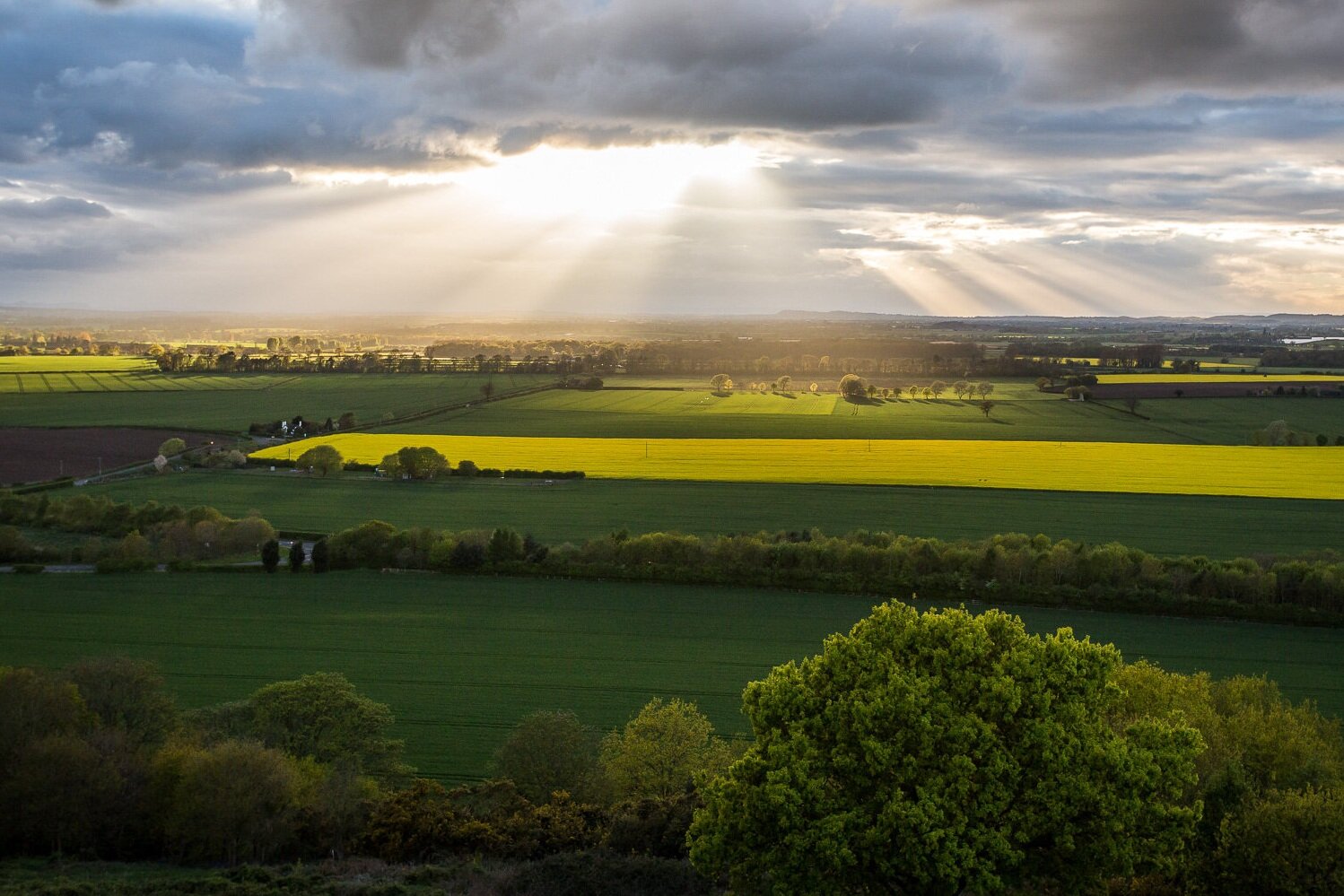 View-from-Lilleshall.jpg