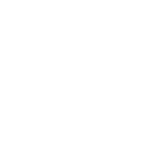 Fiona Brook 
