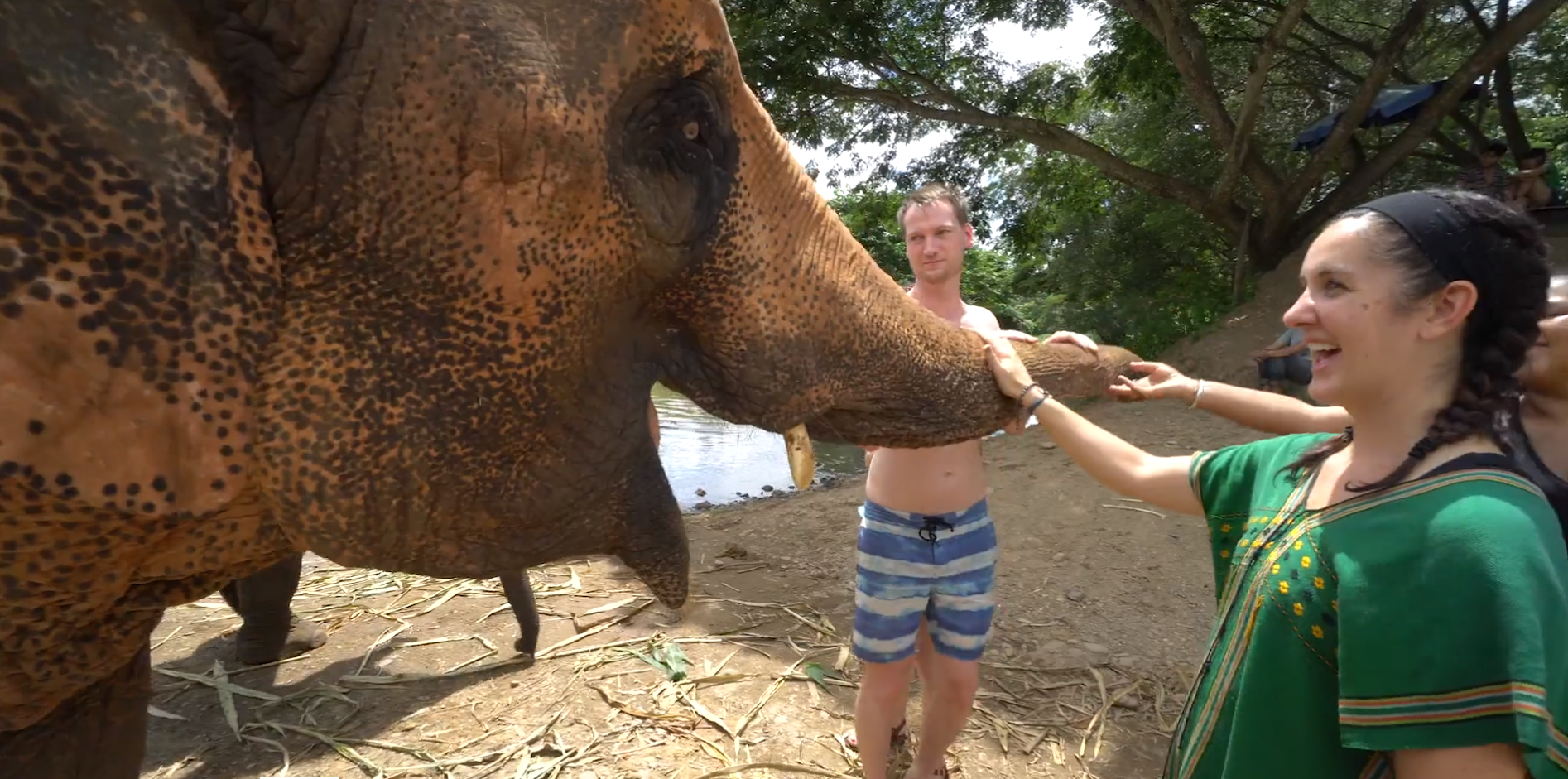Atlas meets Elephants