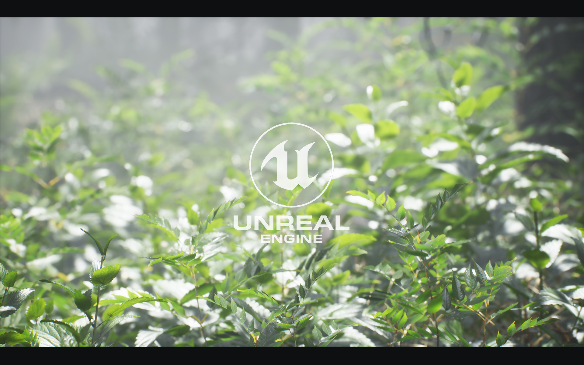 Using Photogrammetry And Megascans To Plant A Forest Experience Points