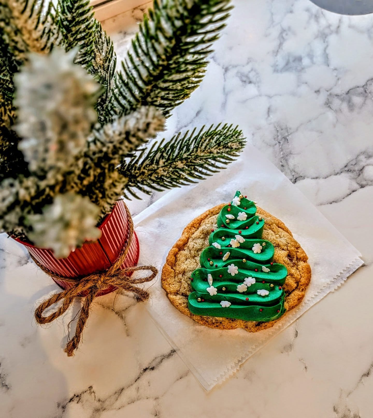 Well we sold out of winter break boxes for now...if we make more, they'll be available AFTER 12/17. But we'll need the gift of time :).

To make you feel better... decorated chocolate chip cookies are in the case waiting for you! 
We'll be doing thes