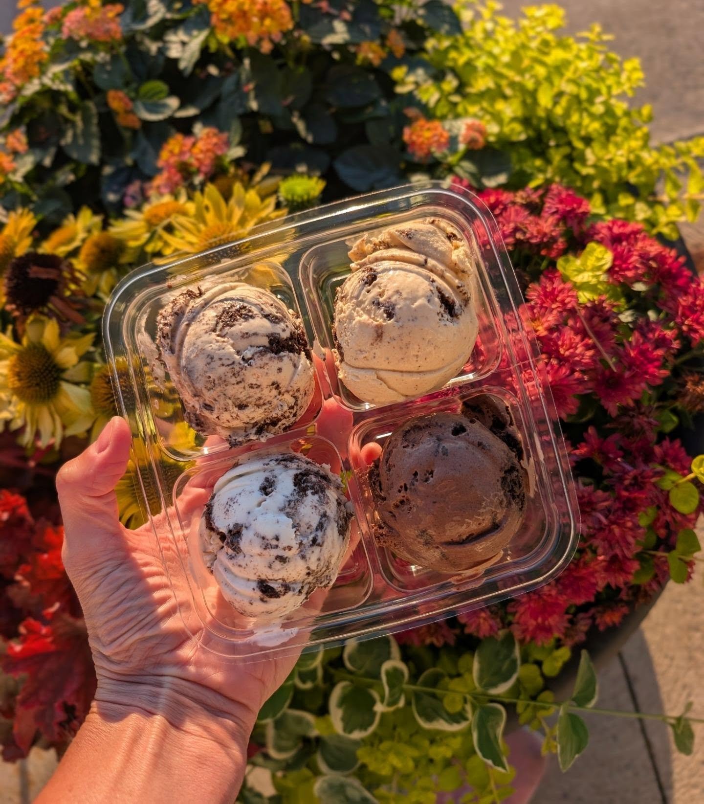 Would you rather dive into -->

&bull; Sampler full of Oreos: PB Oreo, pumpkin Oreo, cookies &amp; cream, dark chocolate Oreo
&bull; House cinnamon rolls with our silky cream cheese frosting

Good news, you don't actually have to choose because we