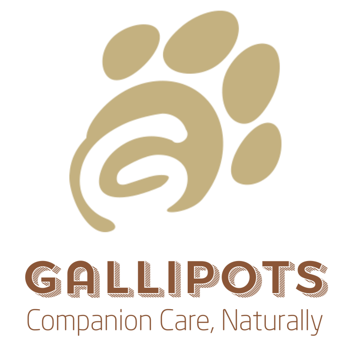 Gallipots-Logo-Square-Trans.png