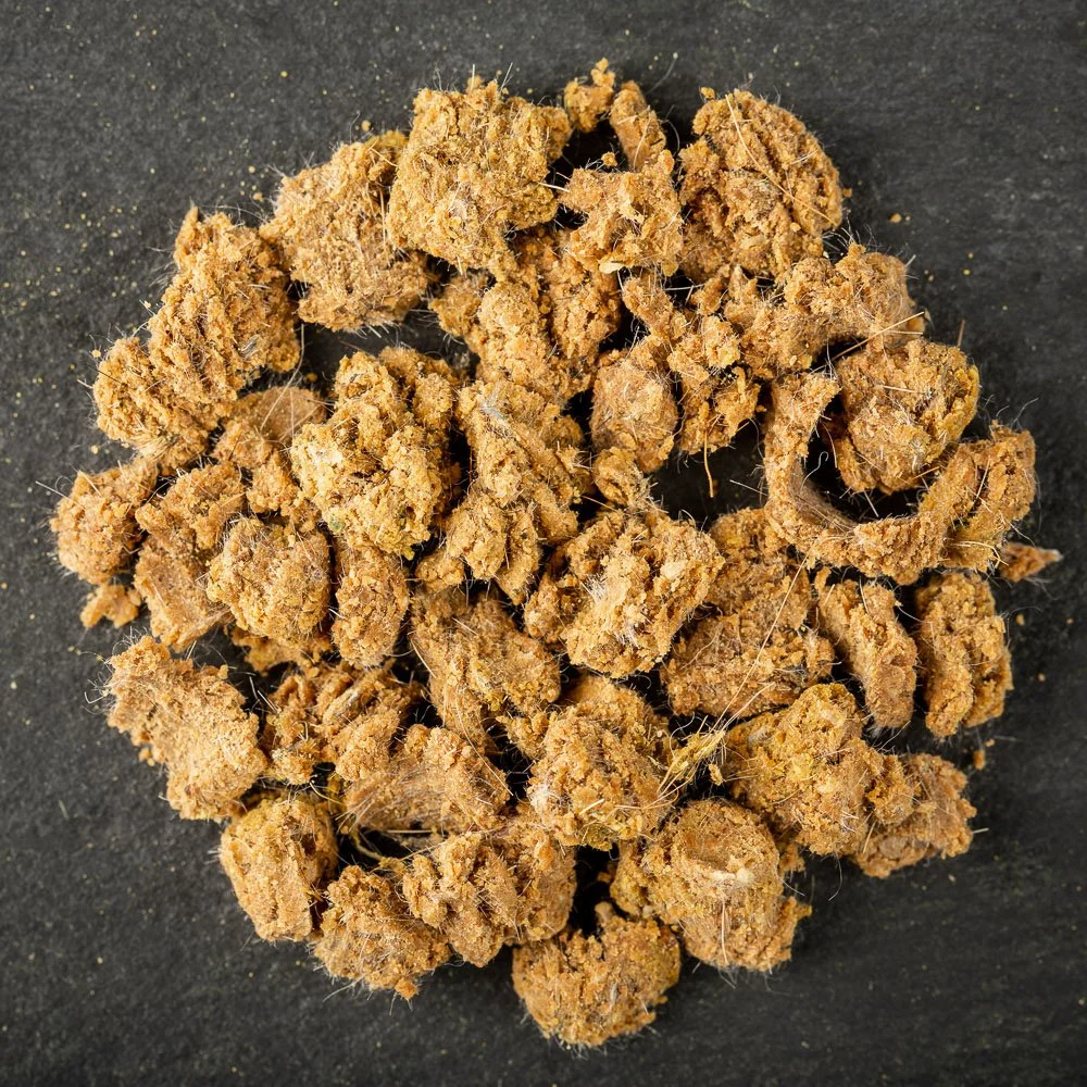 Store — The Rainforester