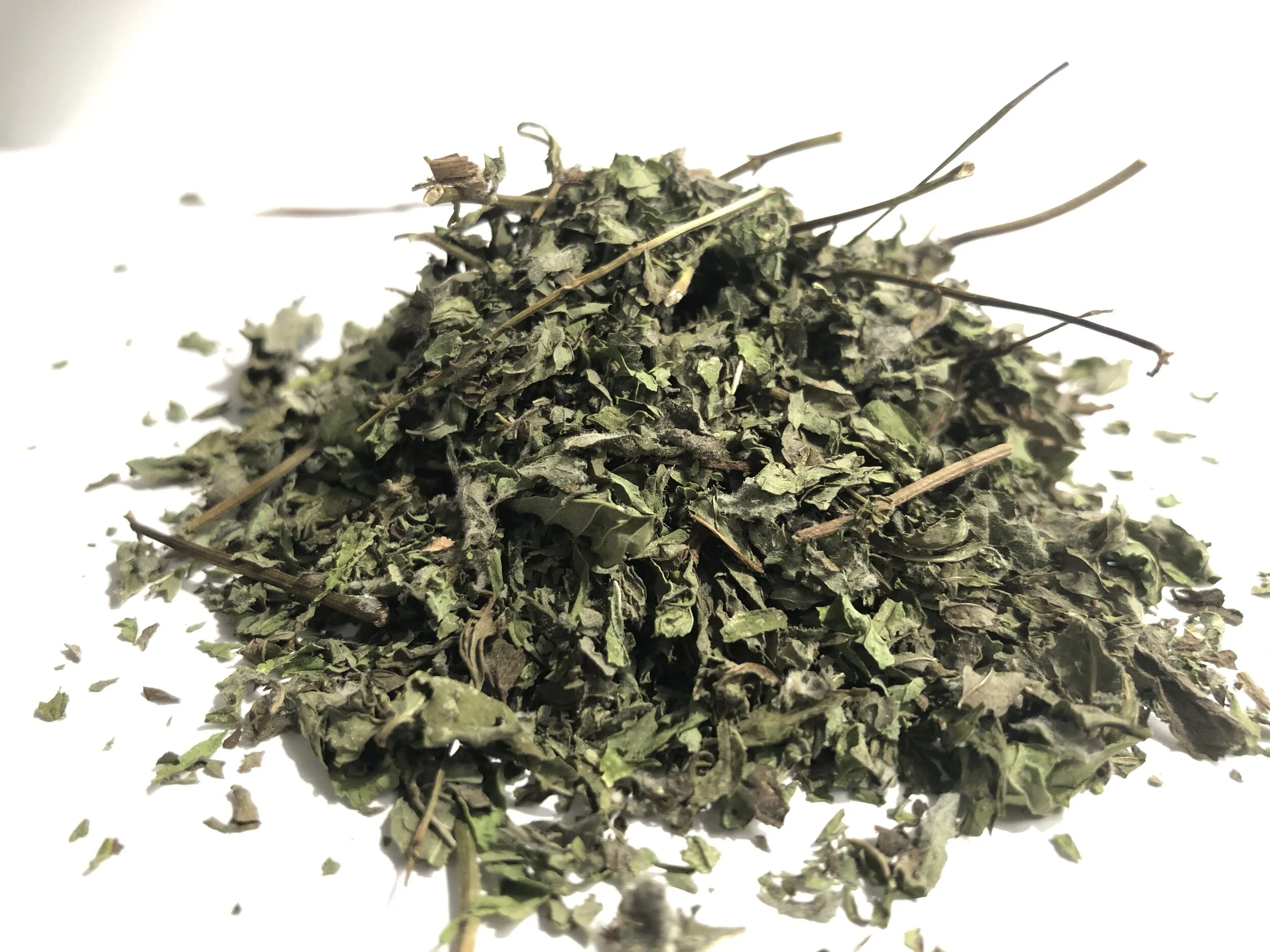 Peppermint Mentha piper