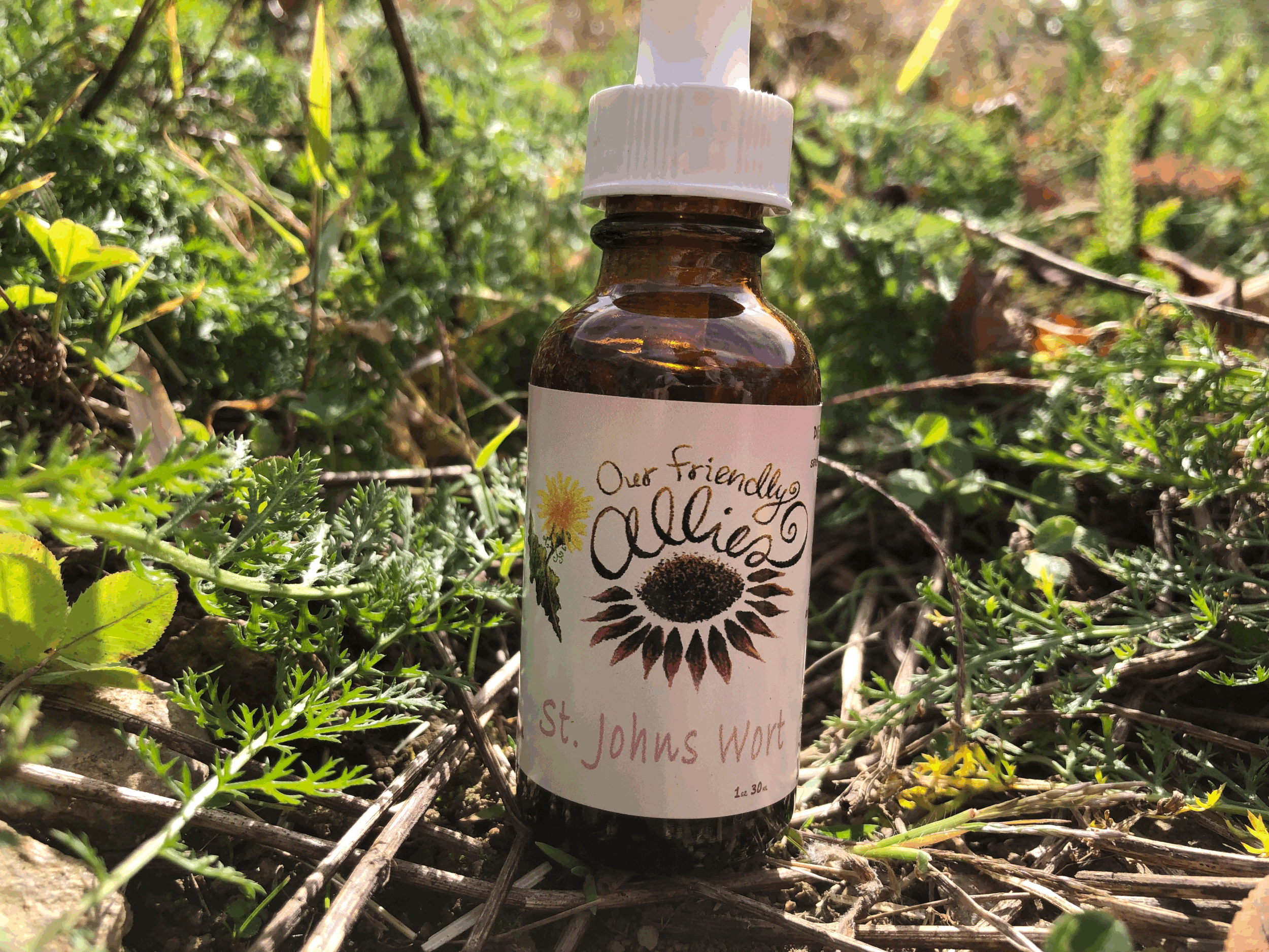 ST. JOHNS WORT EXTRACT