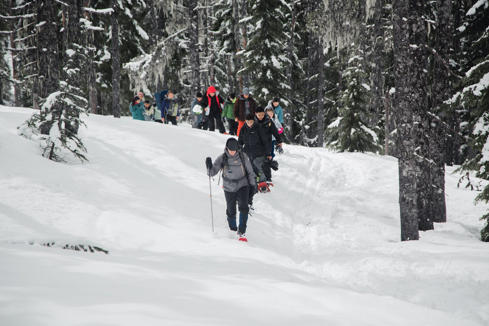 AWL-Year_End-Snowshoeing_Group_on_Trail.jpg