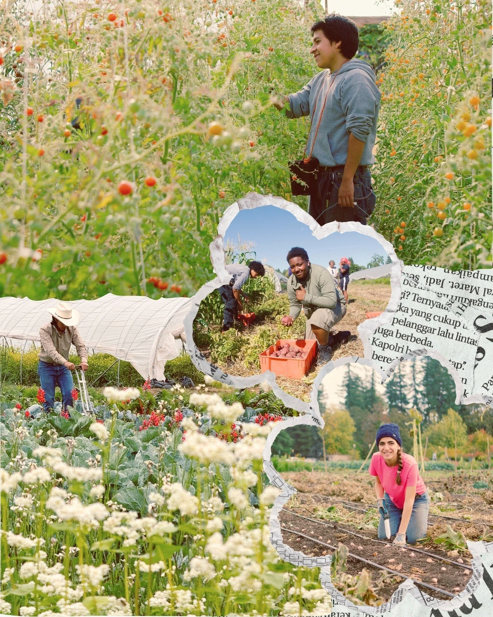 Just a few towns over, our friends at @workingtheoryfarm  are empowering youth through the shared work of farming to grow food for partner organizations who distribute this food to families in need. 

In the past, Adventures Without Limits and Workin