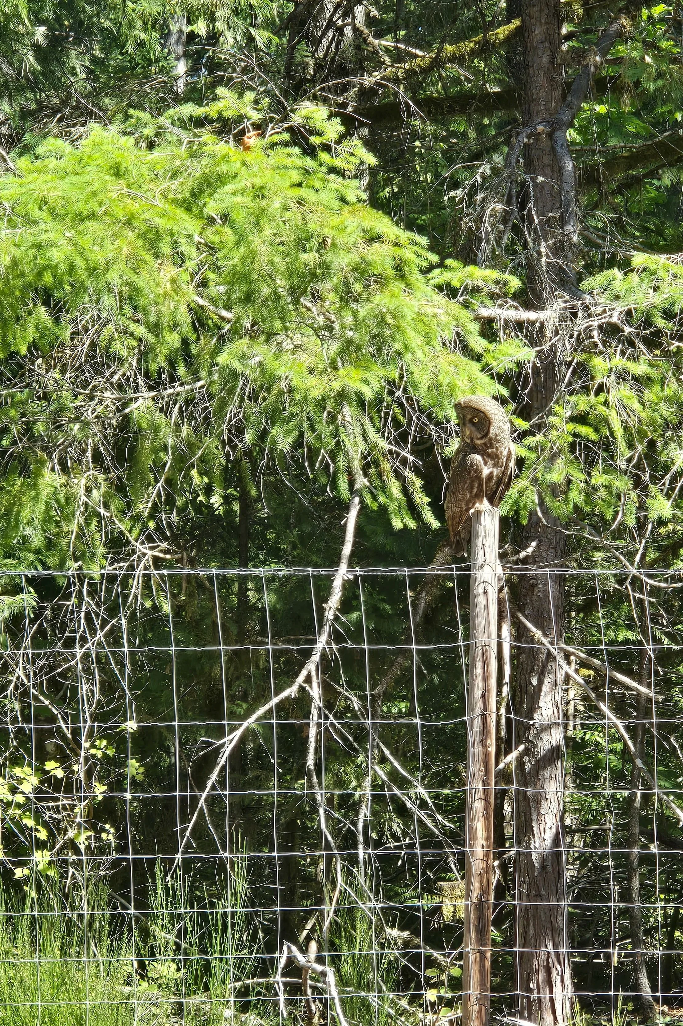 Community Birding Hike