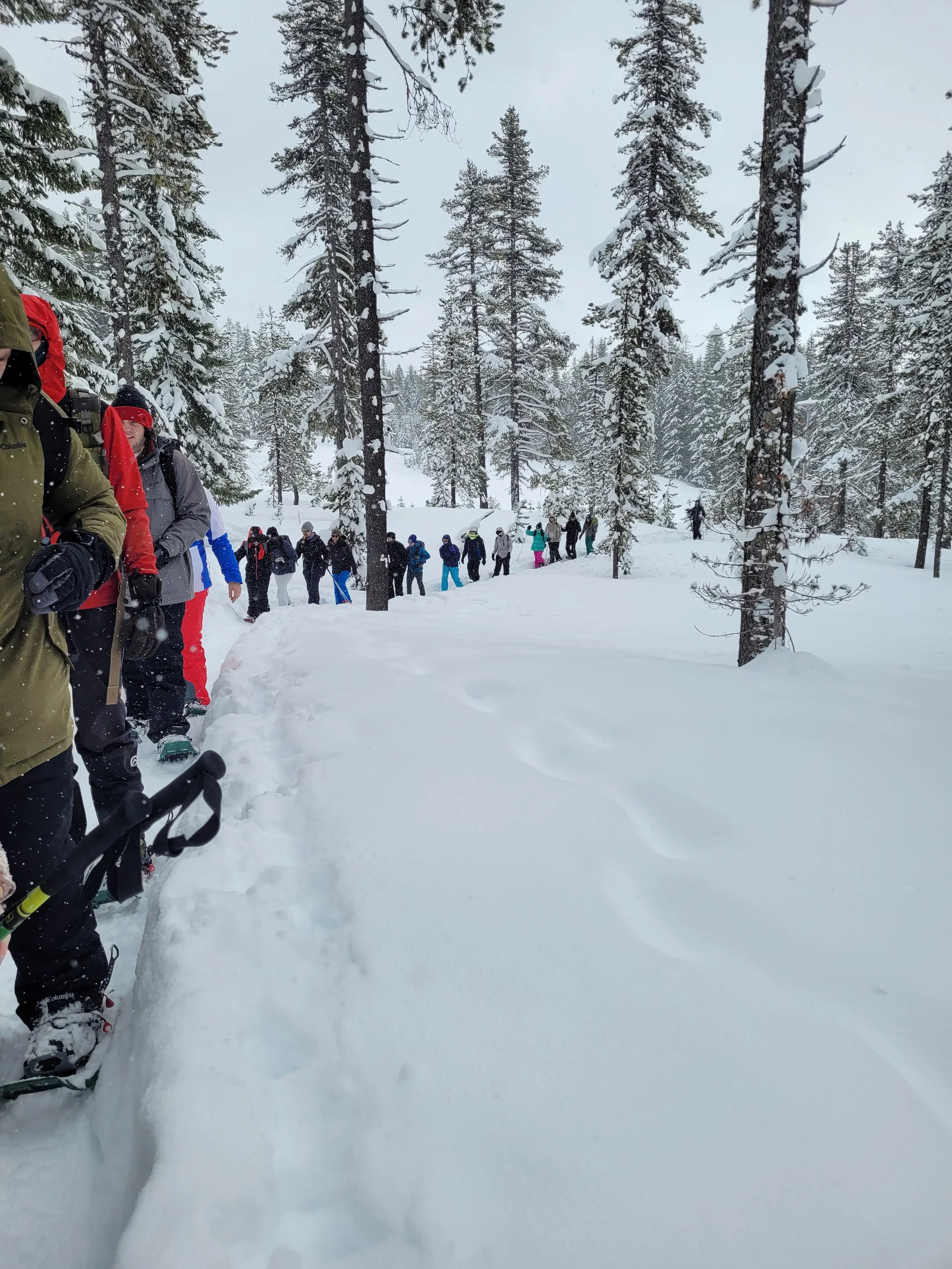 Community Snowshoe: Mt Hood National Forest