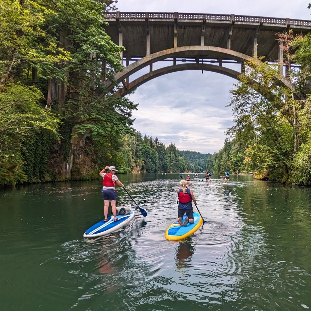 2 people on paddleboards, 1 standing and 1 kneeling paddle towards a bridge. Both are wearing P-F-Ds (lifejackets) on calm water in summer